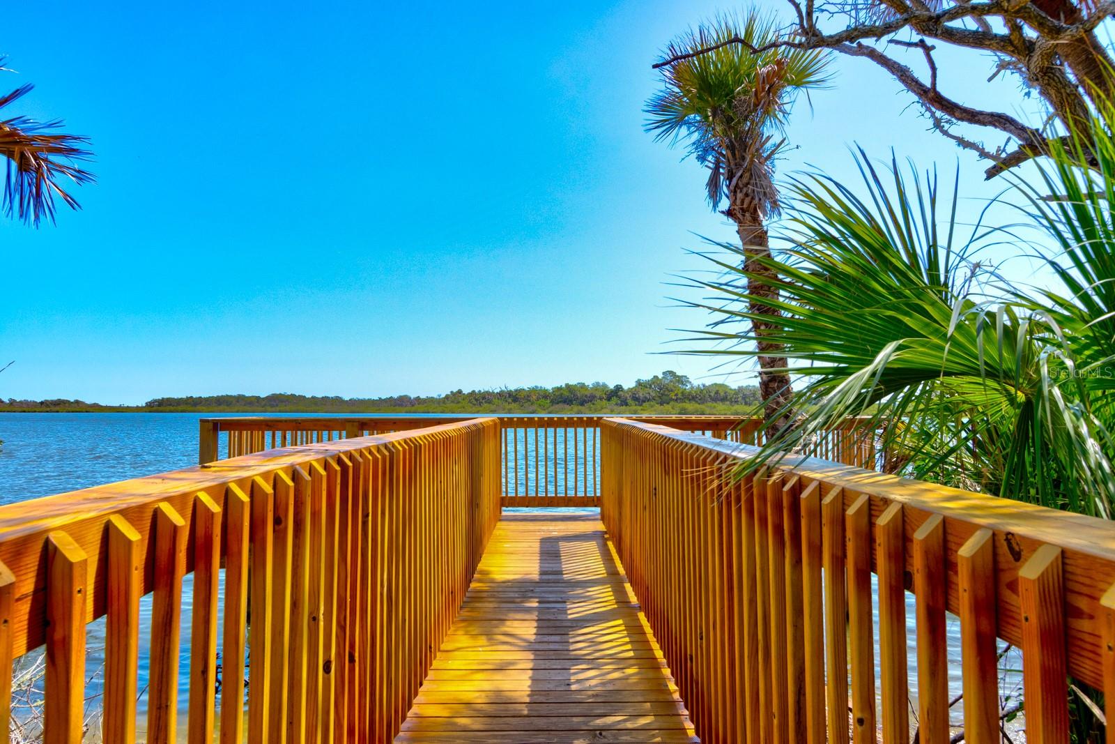 176 JONES FISH CAMP RD, EDGEWATER, FL, 32141