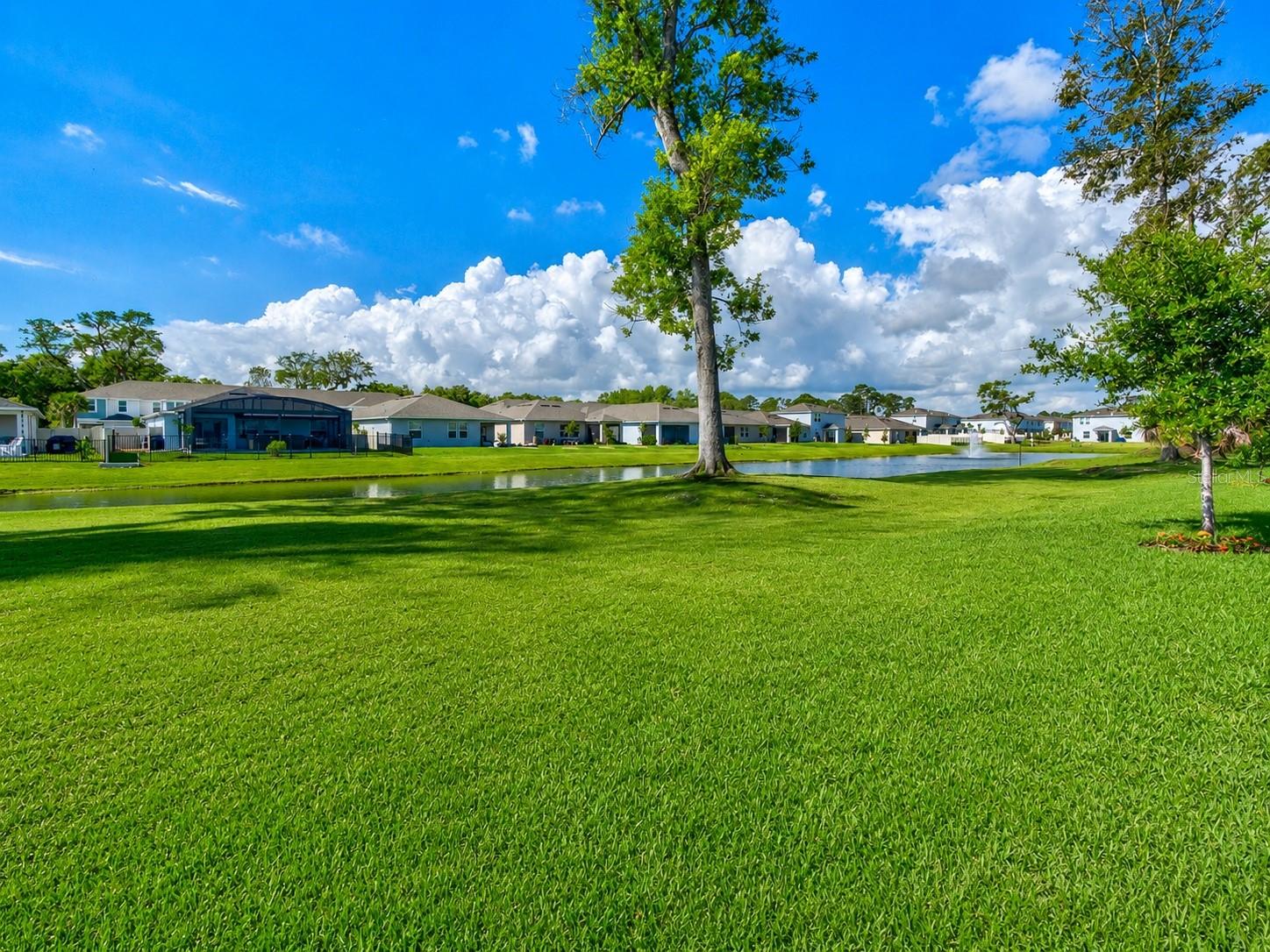 176 JONES FISH CAMP RD, EDGEWATER, FL, 32141