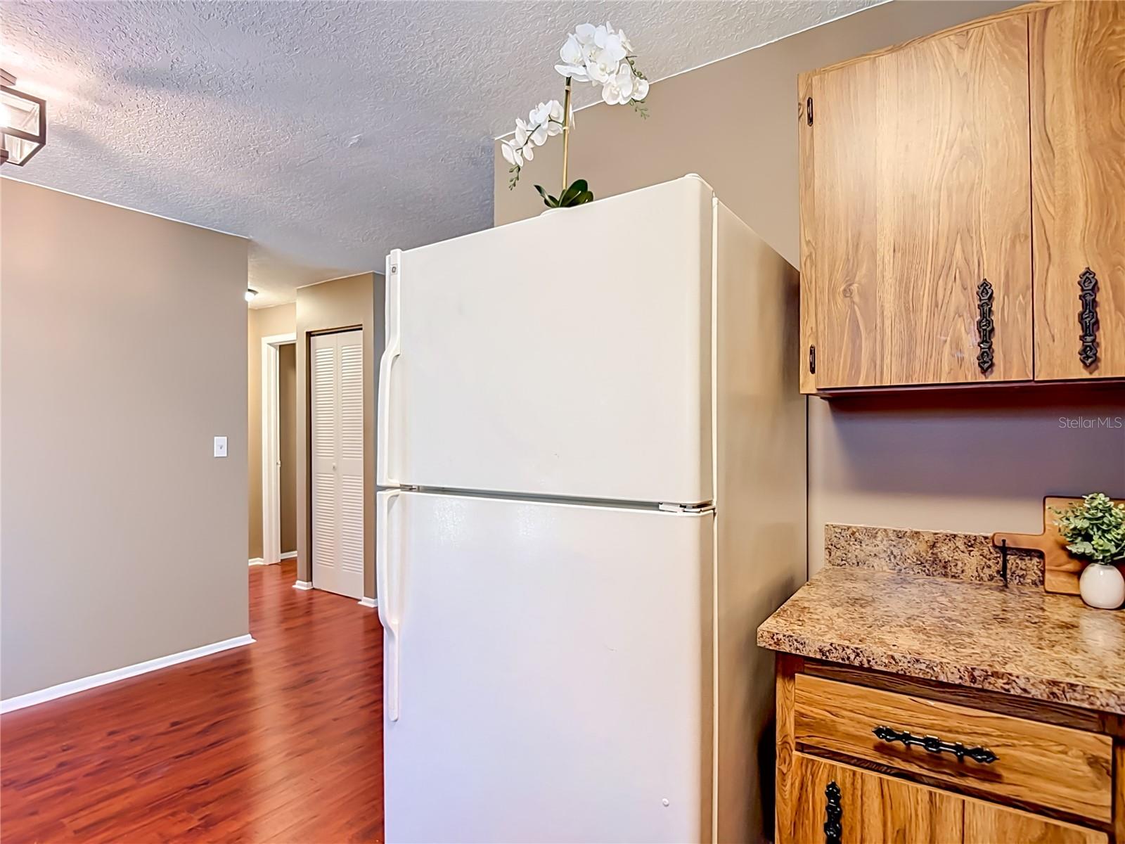 7310 IVORY TER, NEW PORT RICHEY, FL, 34655