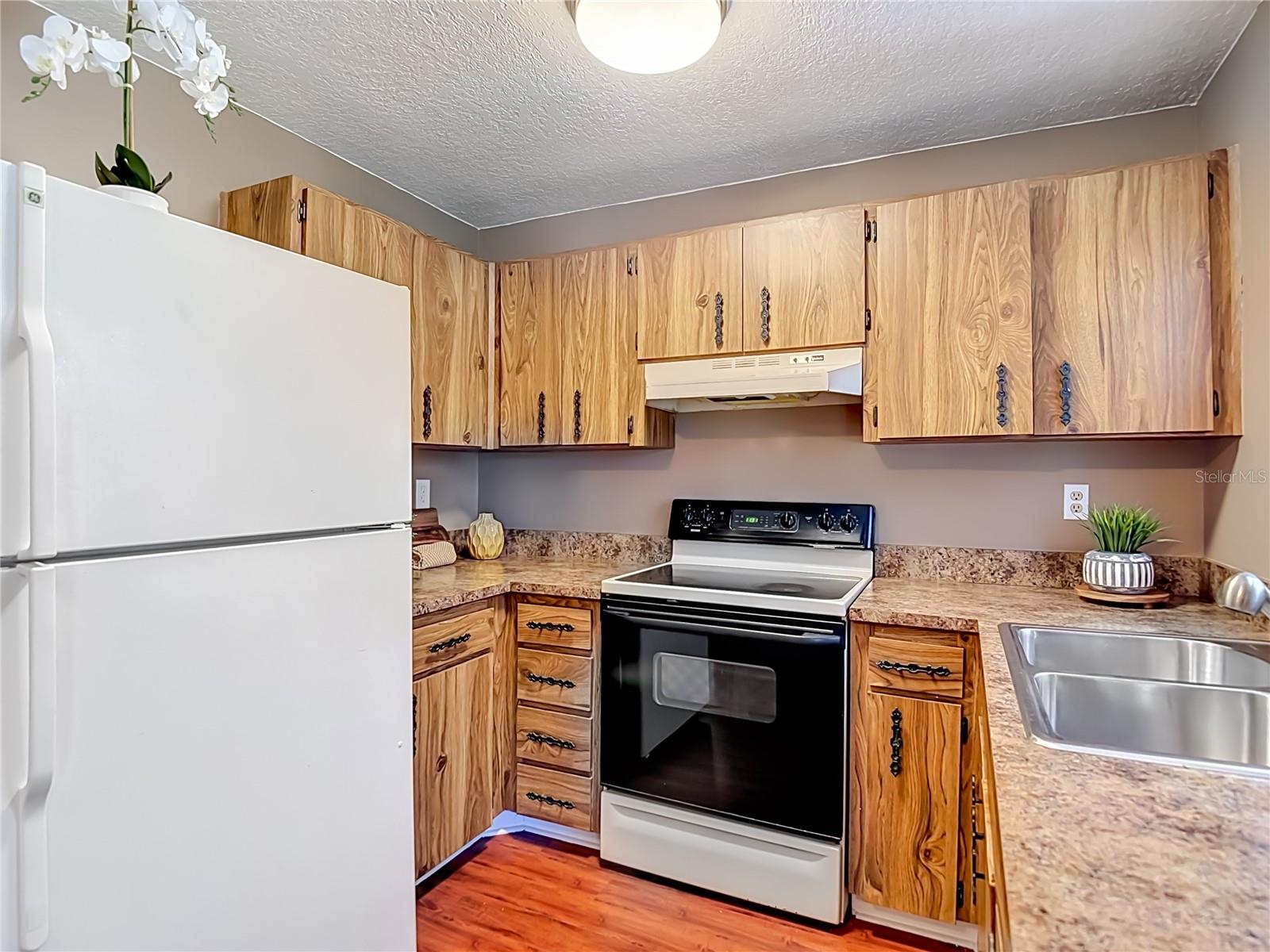 7310 IVORY TER, NEW PORT RICHEY, FL, 34655