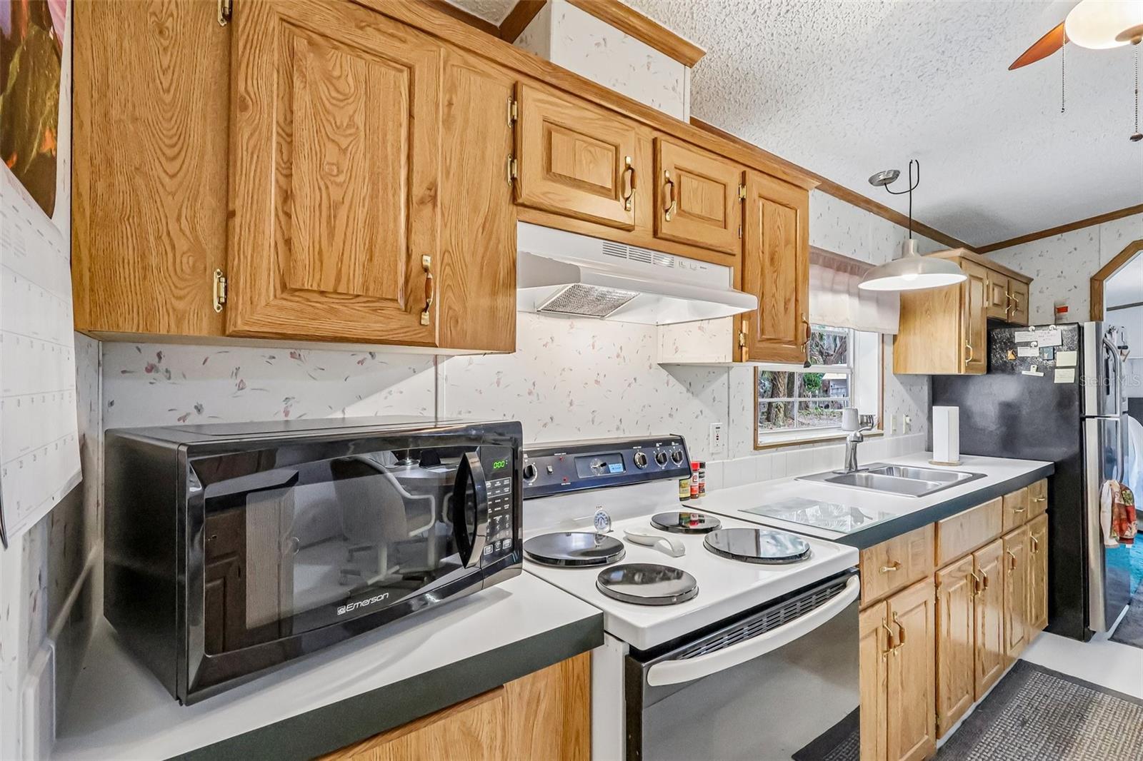 2903 CR 426E, LAKE PANASOFFKEE, FL, 33538