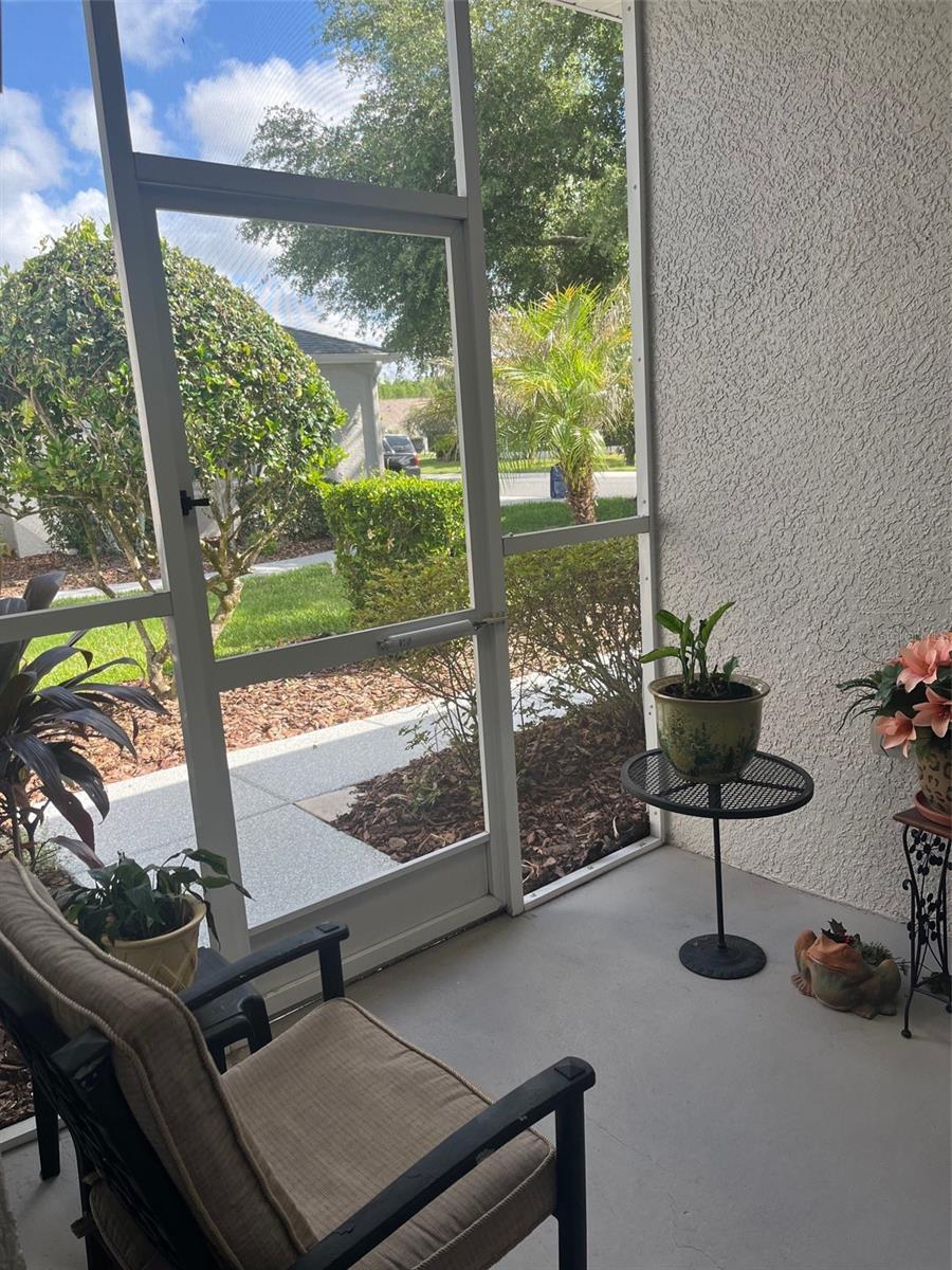 7245 CLEOPATRA DR, LAND O LAKES, FL, 34637
