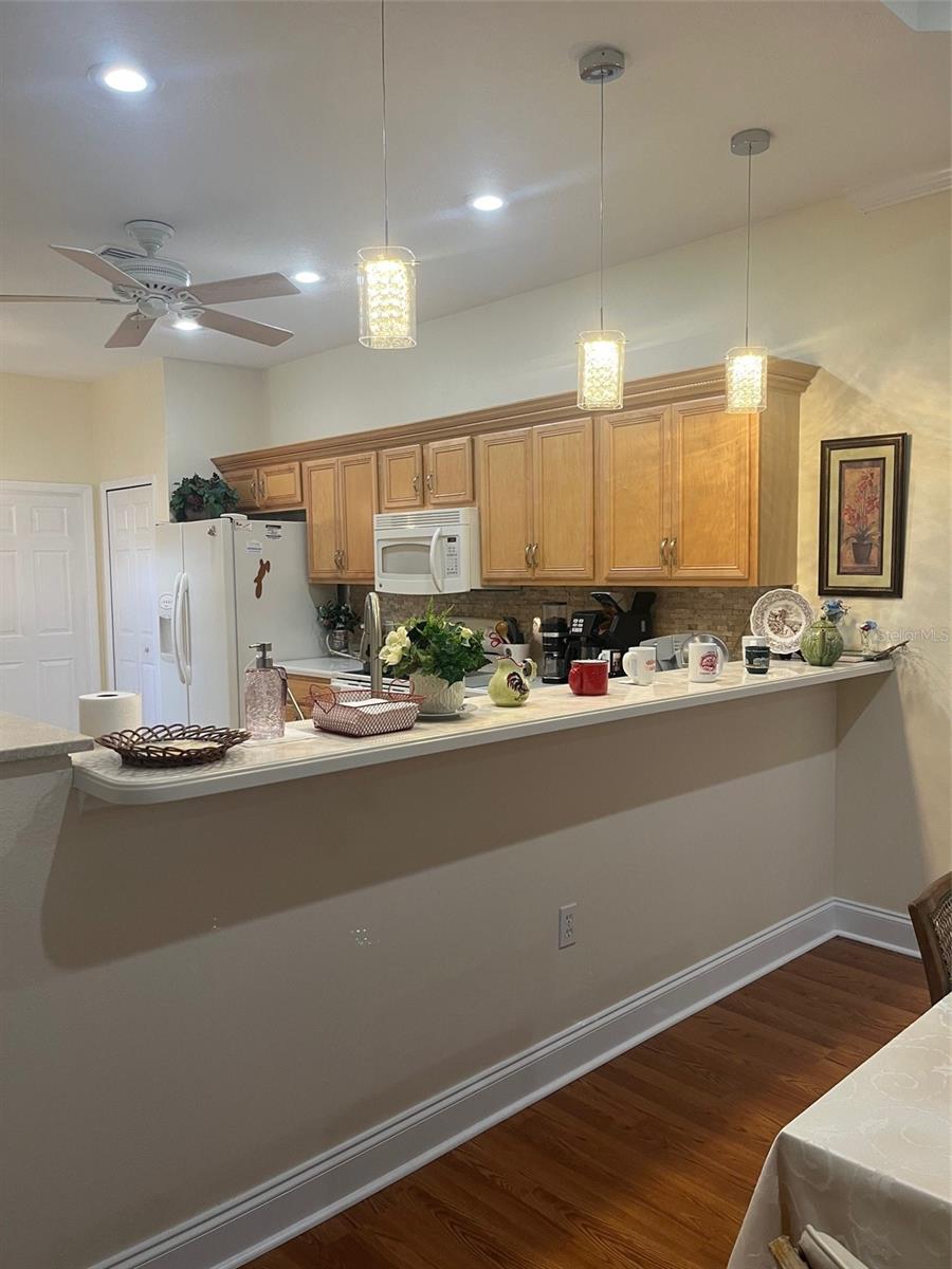 7245 CLEOPATRA DR, LAND O LAKES, FL, 34637