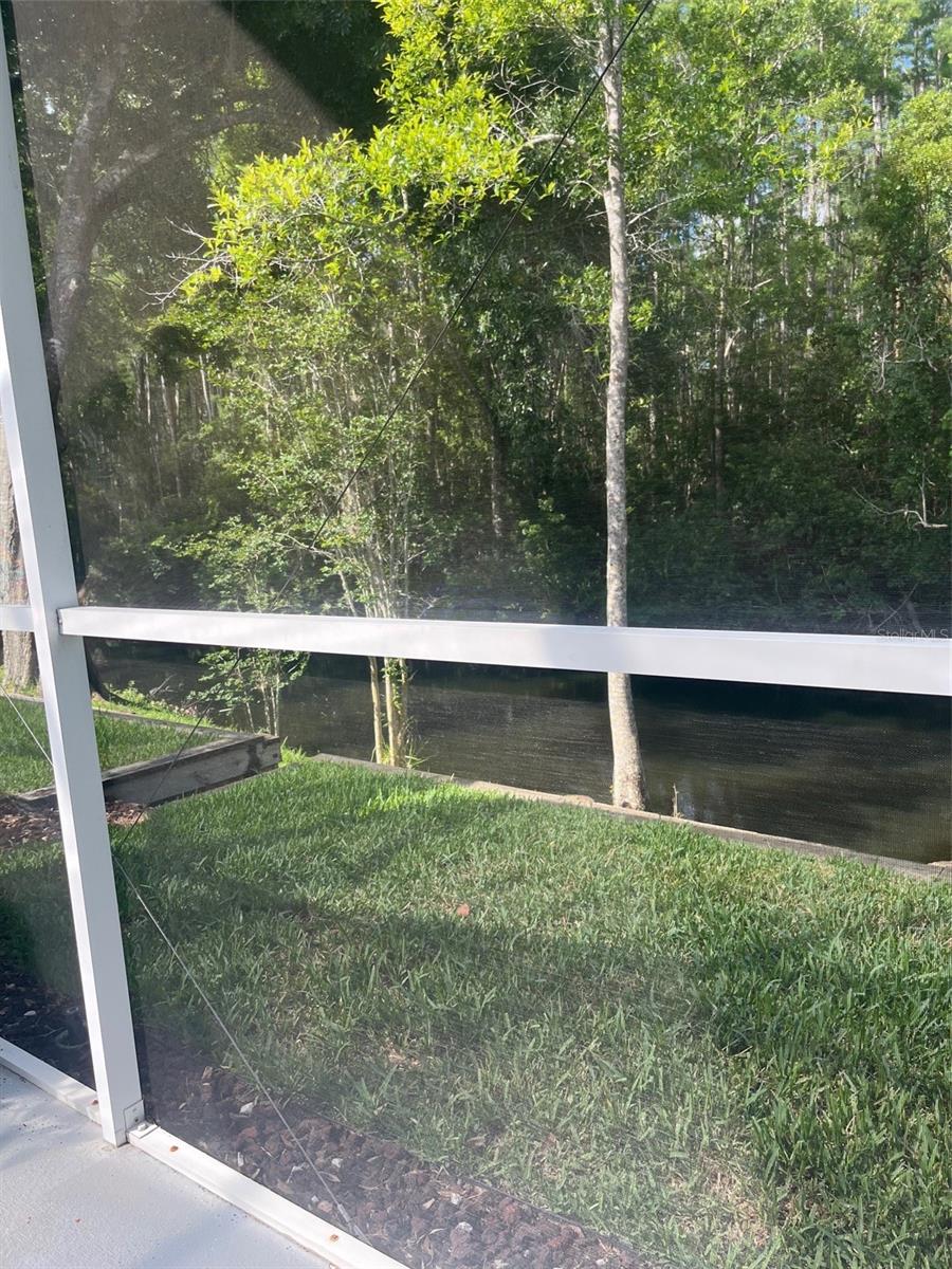 7245 CLEOPATRA DR, LAND O LAKES, FL, 34637