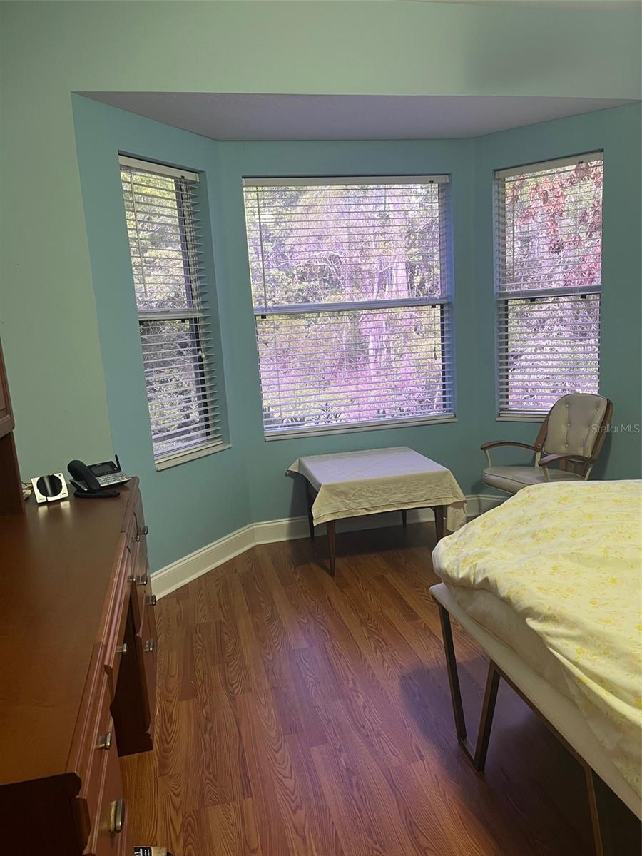 7245 CLEOPATRA DR, LAND O LAKES, FL, 34637