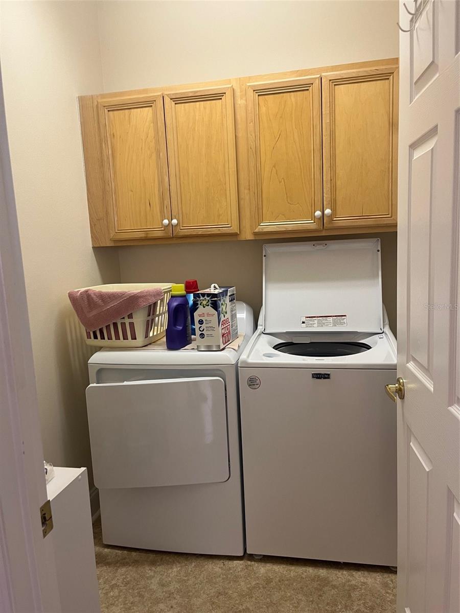 7245 CLEOPATRA DR, LAND O LAKES, FL, 34637
