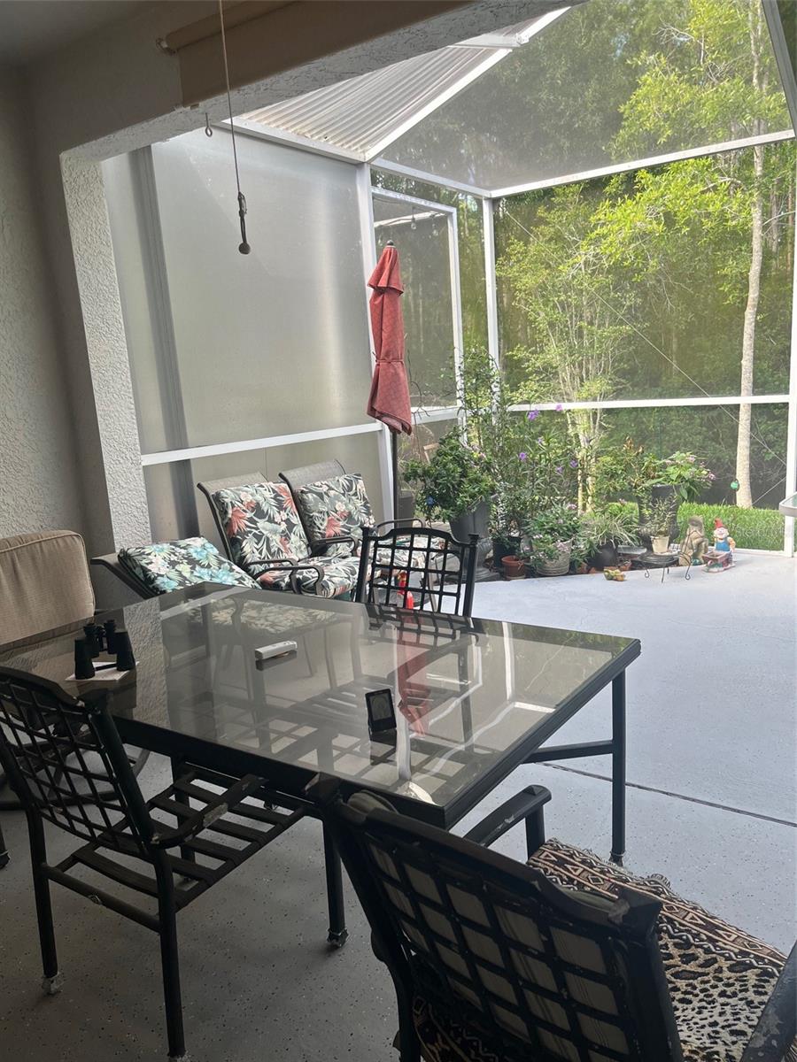 7245 CLEOPATRA DR, LAND O LAKES, FL, 34637