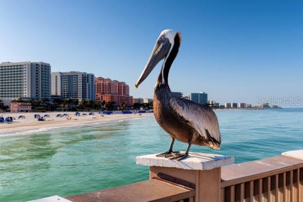 4651 S ATLANTIC AVE #3020, PONCE INLET, FL, 32127