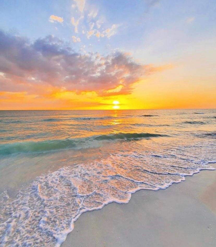 4651 S ATLANTIC AVE #3020, PONCE INLET, FL, 32127