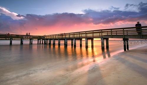 67 ALBERTA AVE, PONCE INLET, FL, 32127