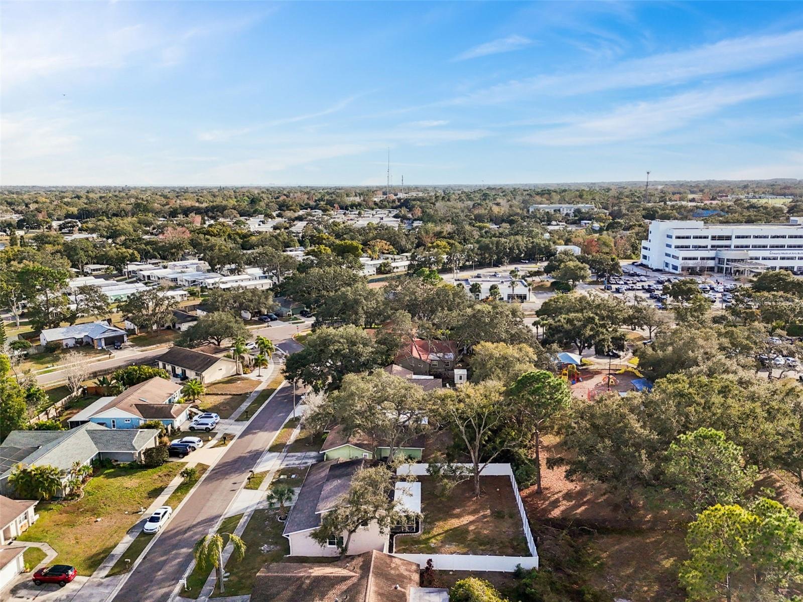 3309 BRIARWOOD LN, SAFETY HARBOR, FL, 34695