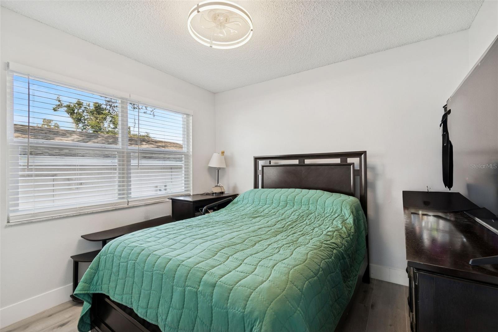 3309 BRIARWOOD LN, SAFETY HARBOR, FL, 34695