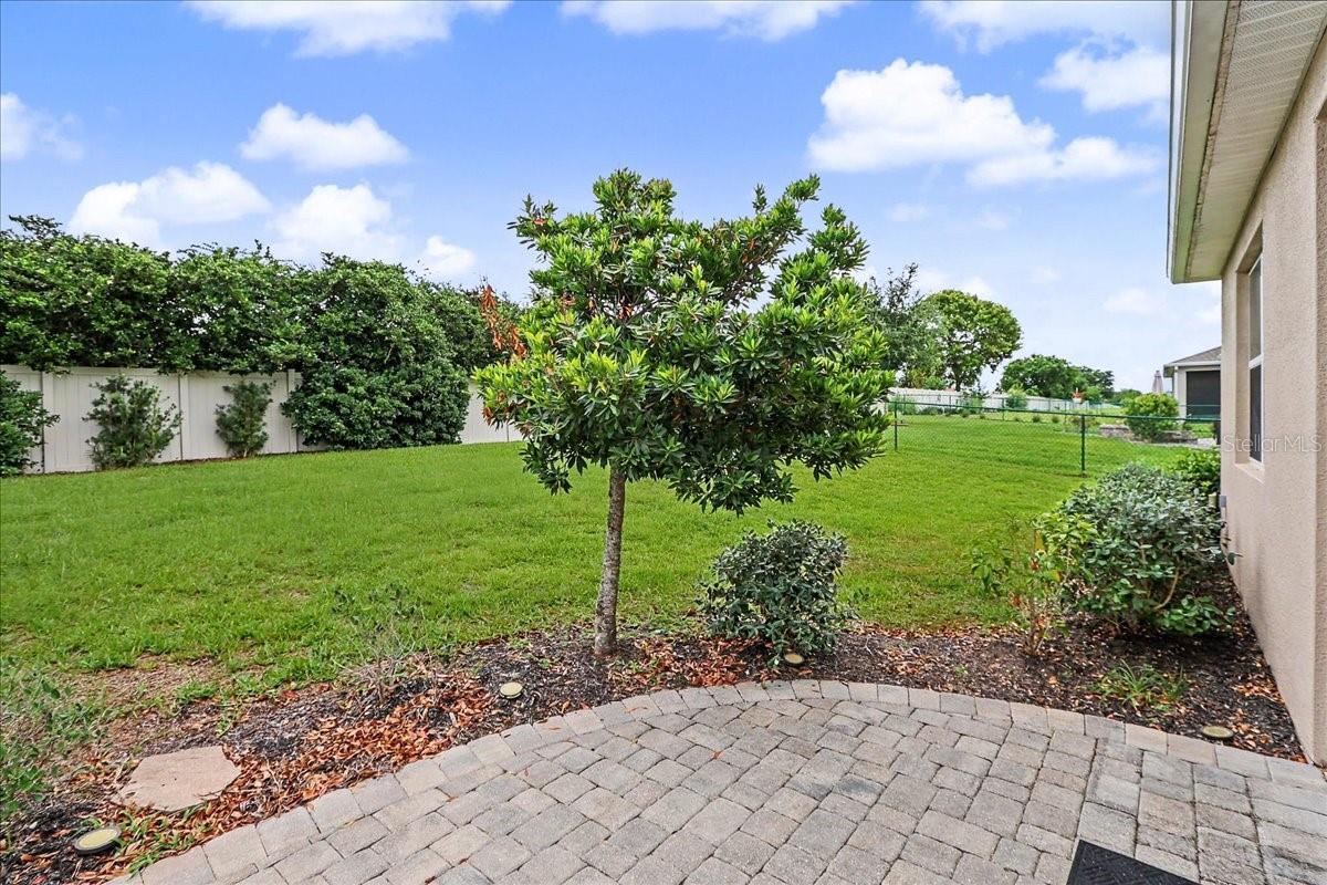 6265 SW 88 LOOP, OCALA, FL, 34476