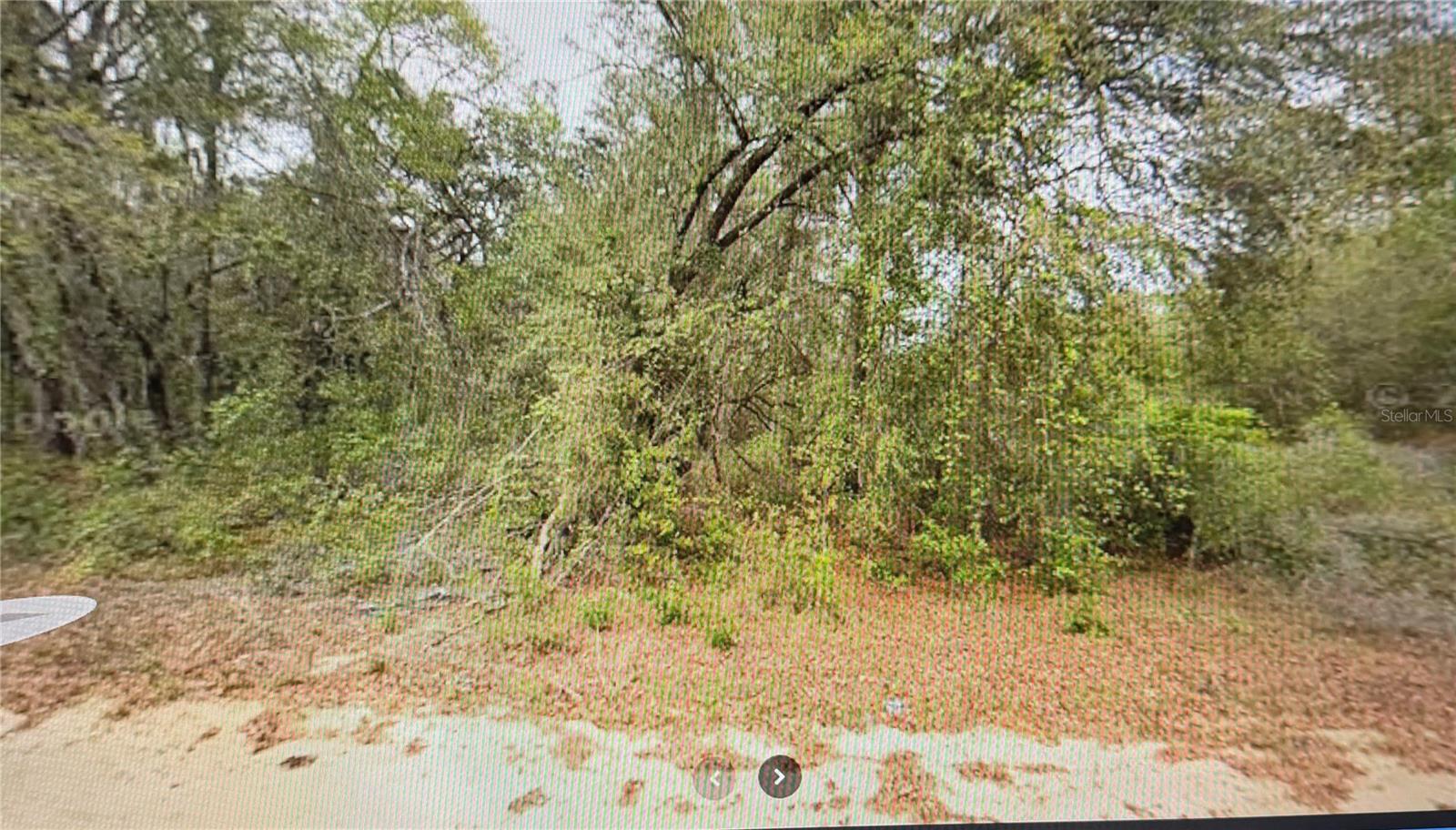 00 ELIZABETH CI, INTERLACHEN, FL, 32148