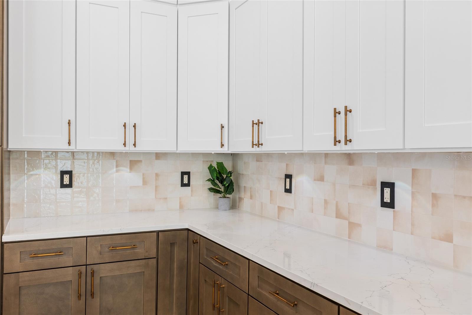 1534 E LAKE WOODLANDS PKWY, OLDSMAR, FL, 34677