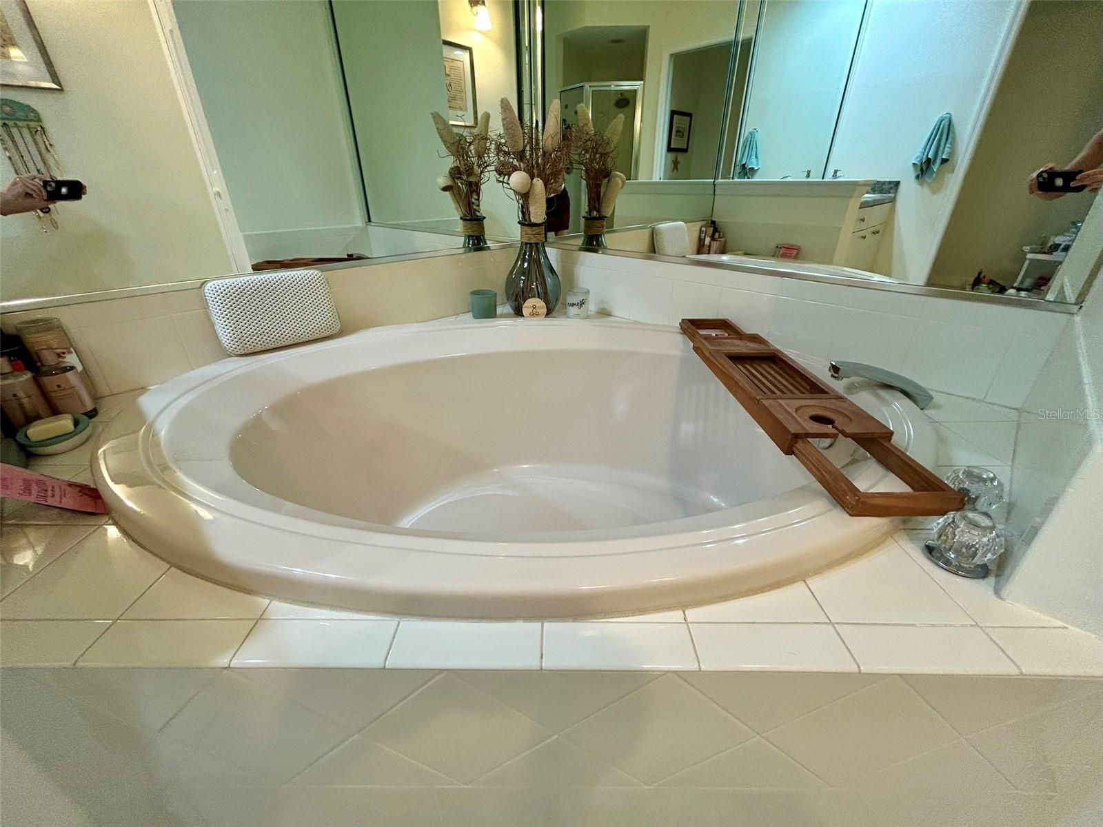 4244 PRESERVE PL, PALM HARBOR, FL, 34685