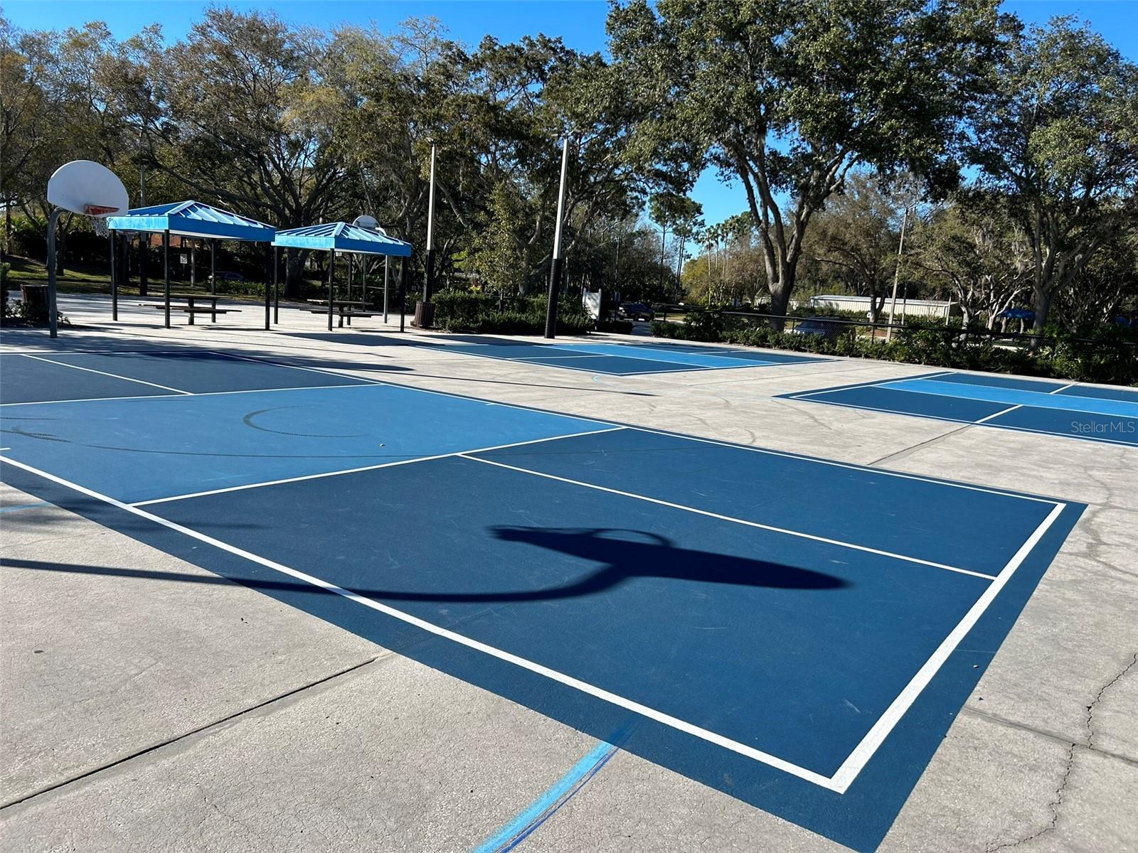4244 PRESERVE PL, PALM HARBOR, FL, 34685