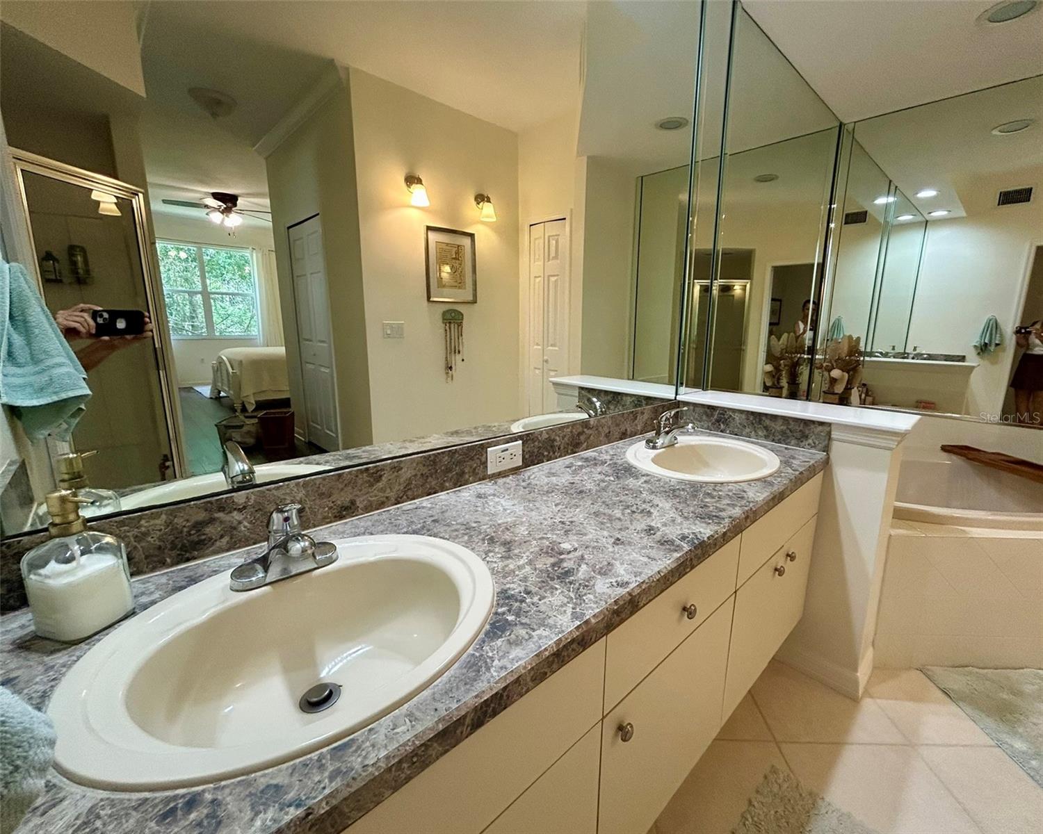 4244 PRESERVE PL, PALM HARBOR, FL, 34685