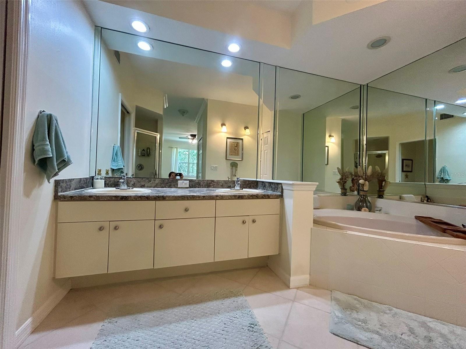 4244 PRESERVE PL, PALM HARBOR, FL, 34685