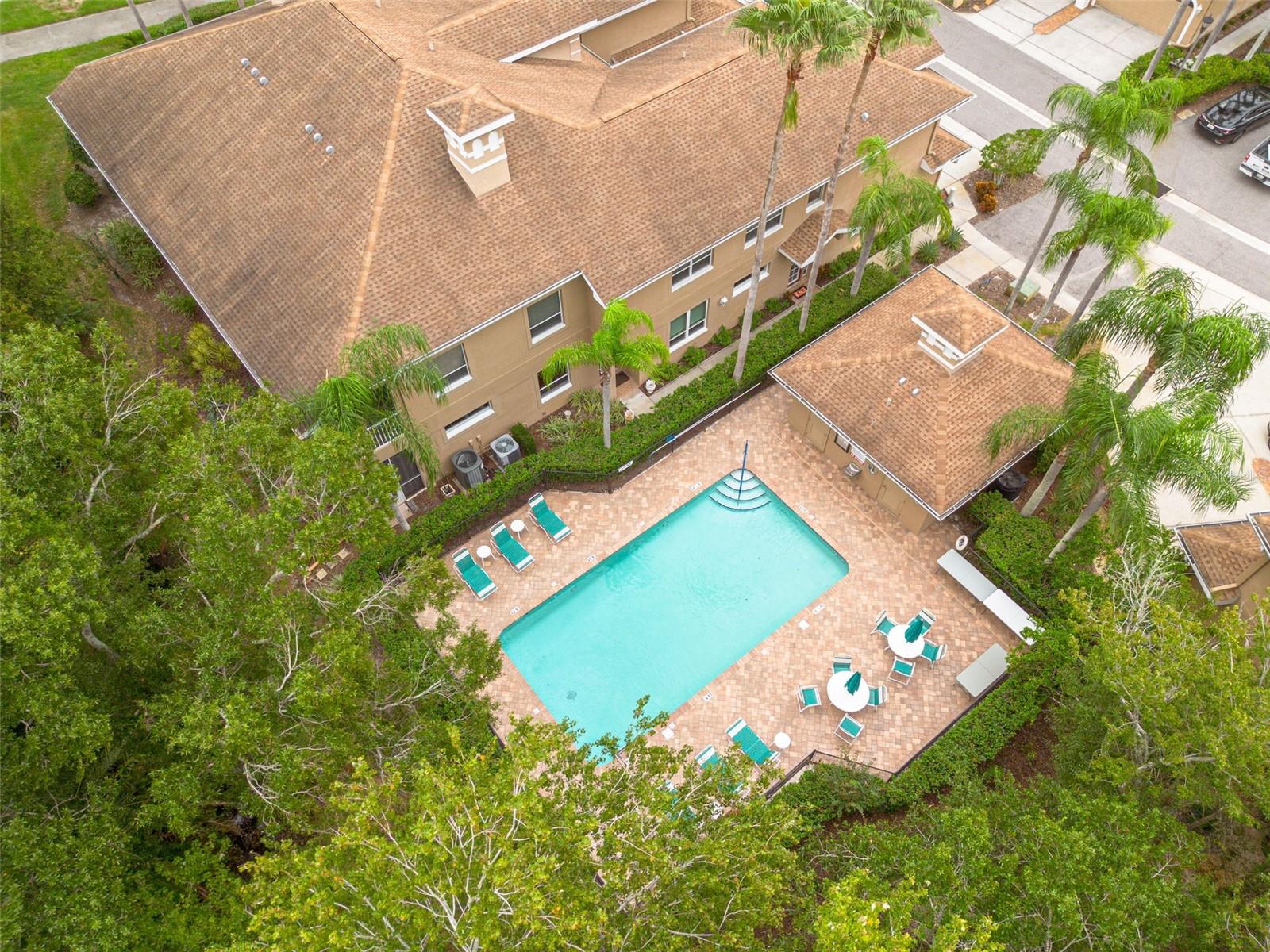 4244 PRESERVE PL, PALM HARBOR, FL, 34685