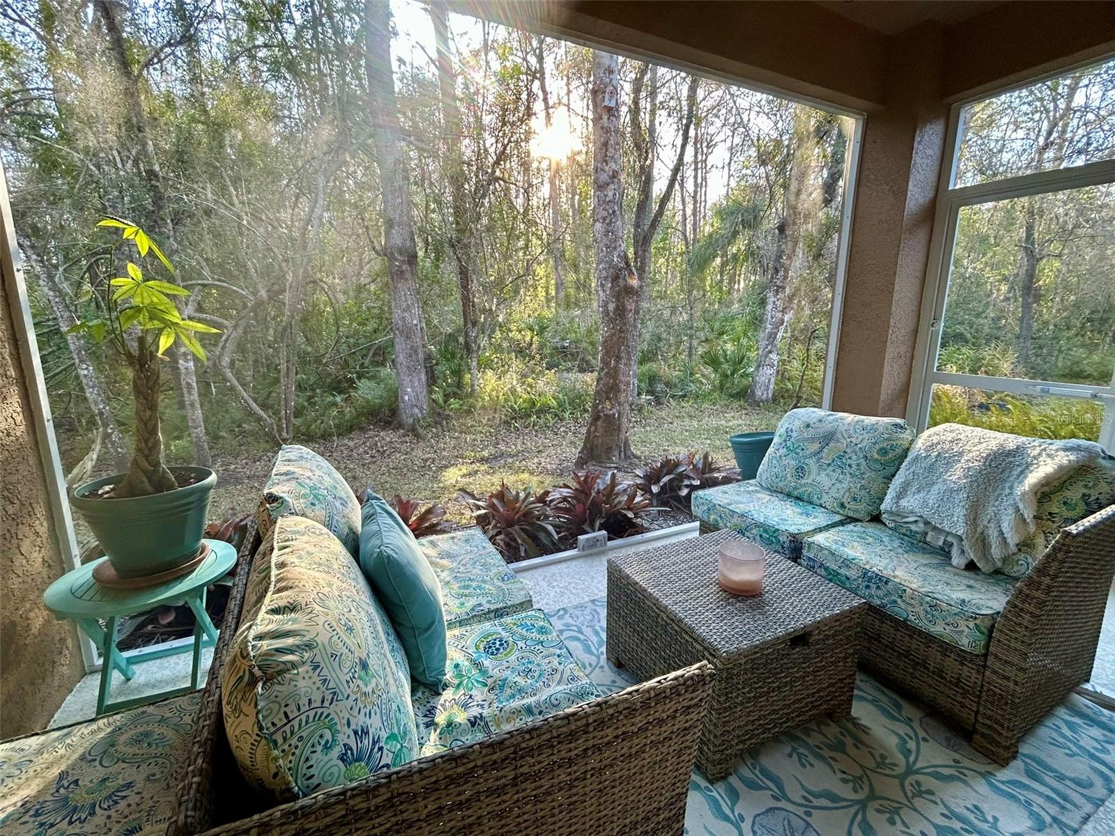 4244 PRESERVE PL, PALM HARBOR, FL, 34685