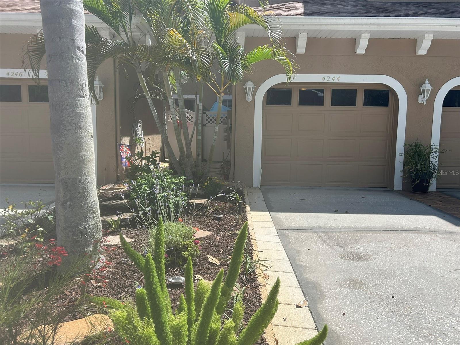 4244 PRESERVE PL, PALM HARBOR, FL, 34685