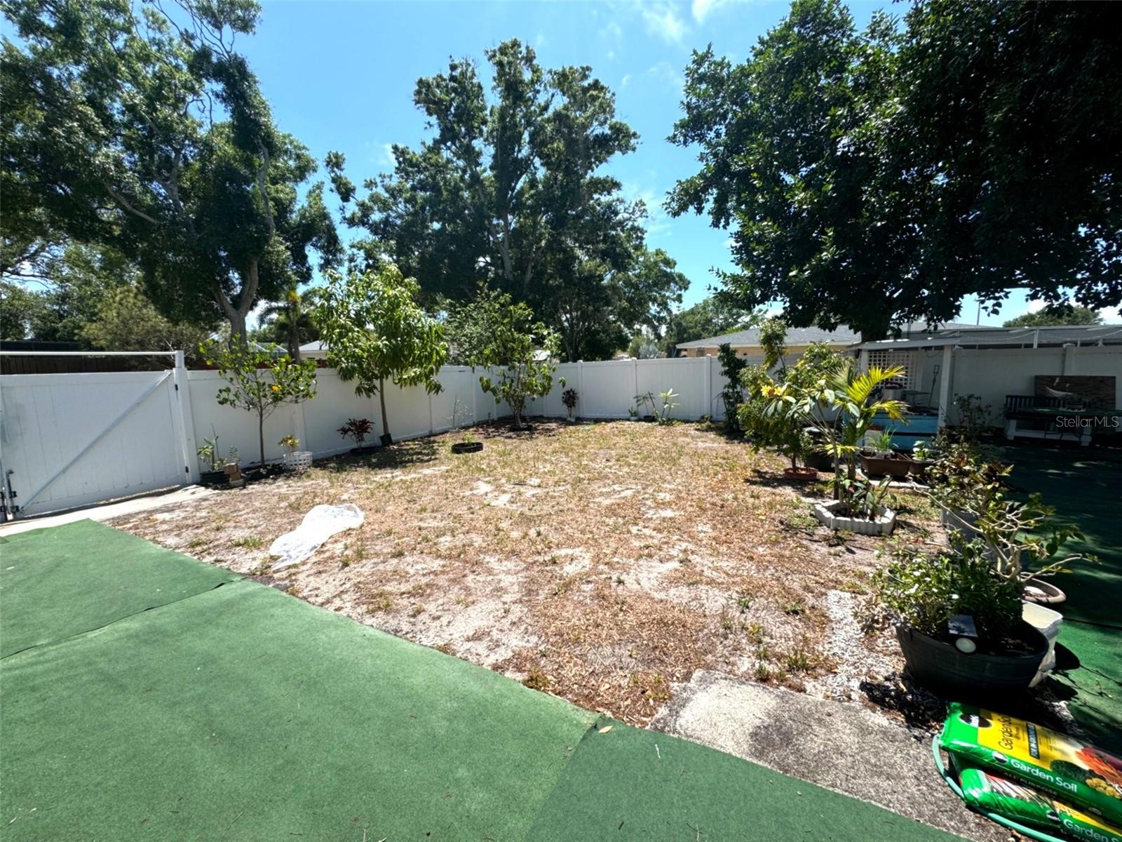 3146 CARLOS DR, DUNEDIN, FL, 34698