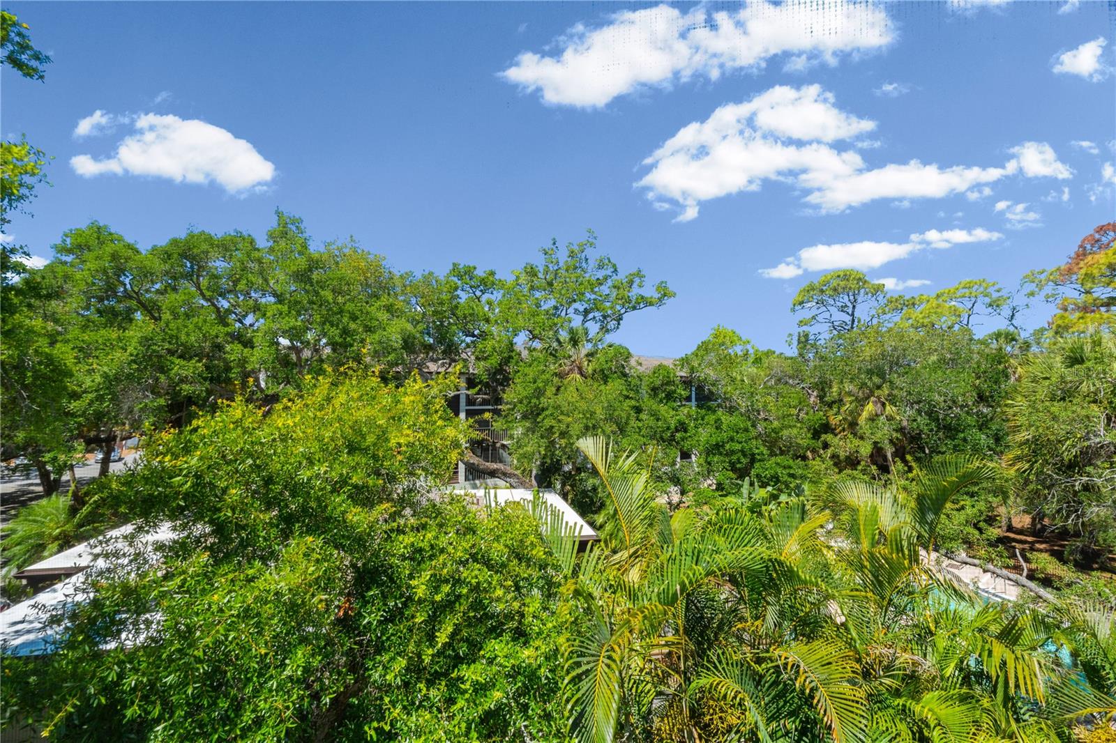 2746 ORCHID OAKS DR #301, SARASOTA, FL, 34239