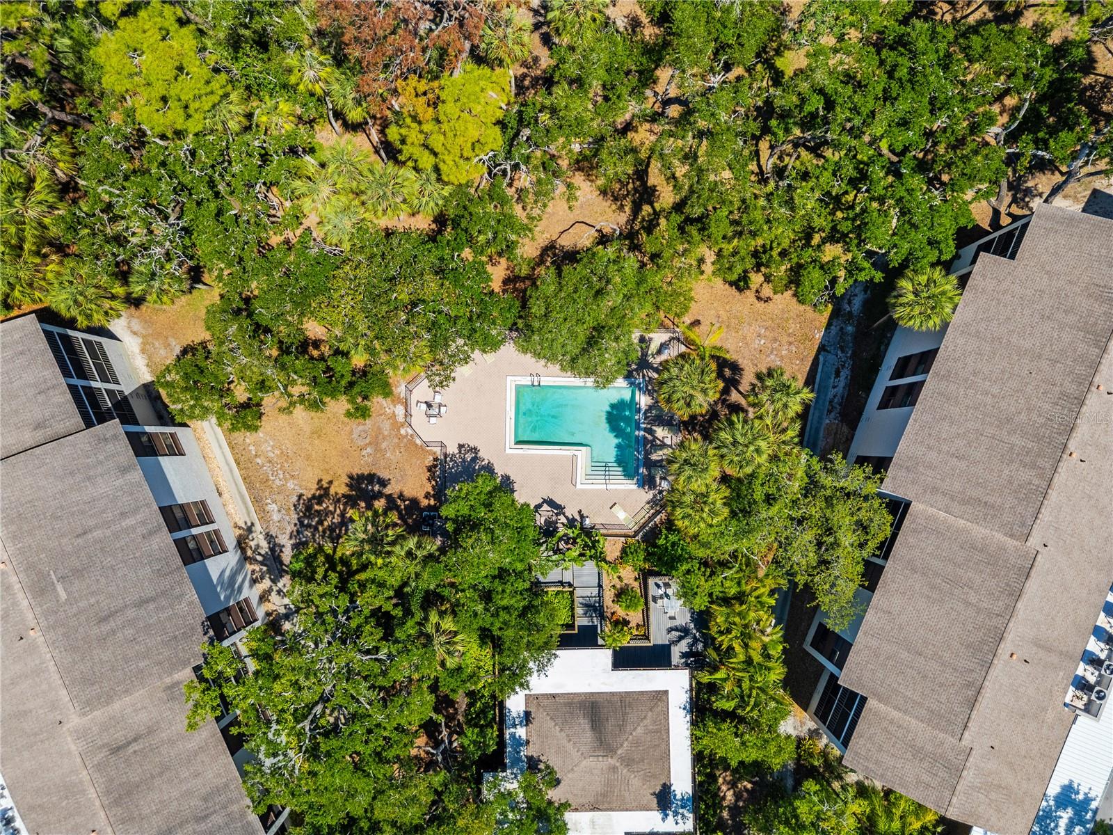 2746 ORCHID OAKS DR #301, SARASOTA, FL, 34239