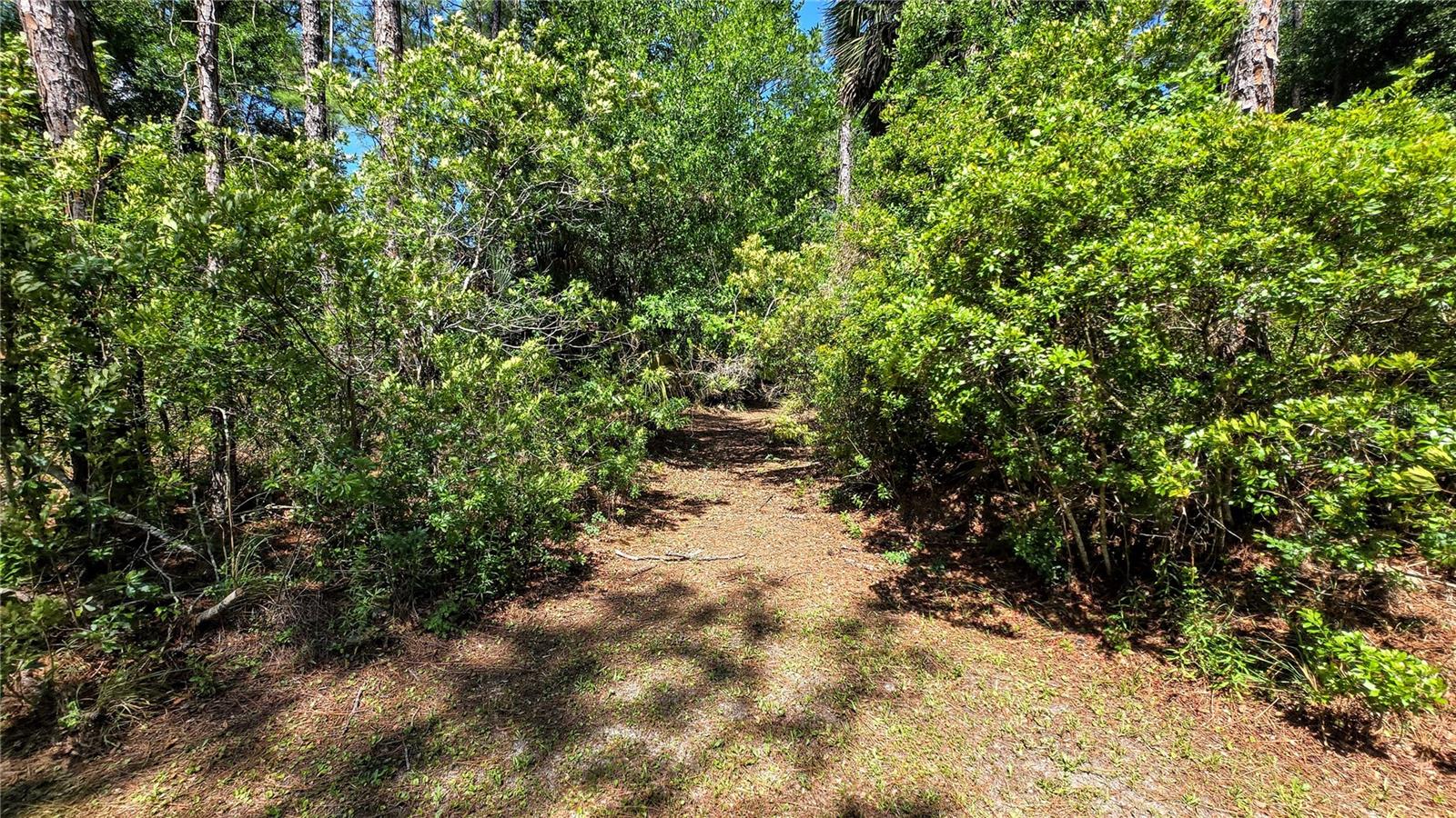 7629 WESTPOINT DR, WESLEY CHAPEL, FL, 33544