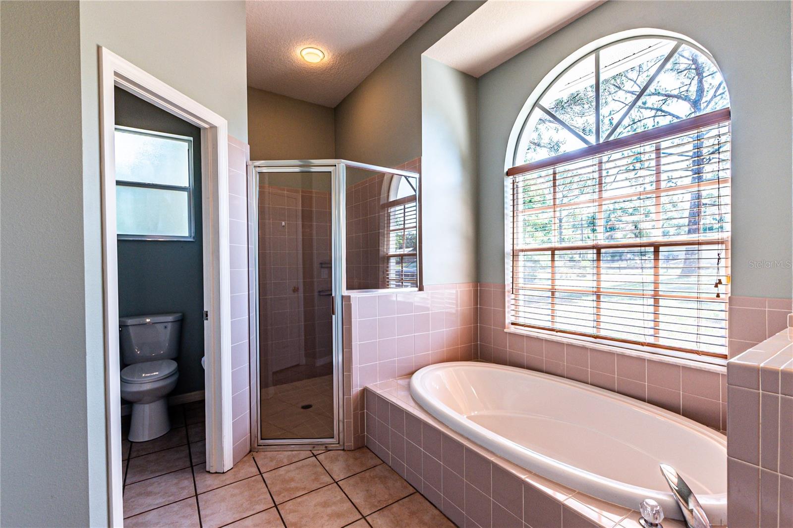 7629 WESTPOINT DR, WESLEY CHAPEL, FL, 33544