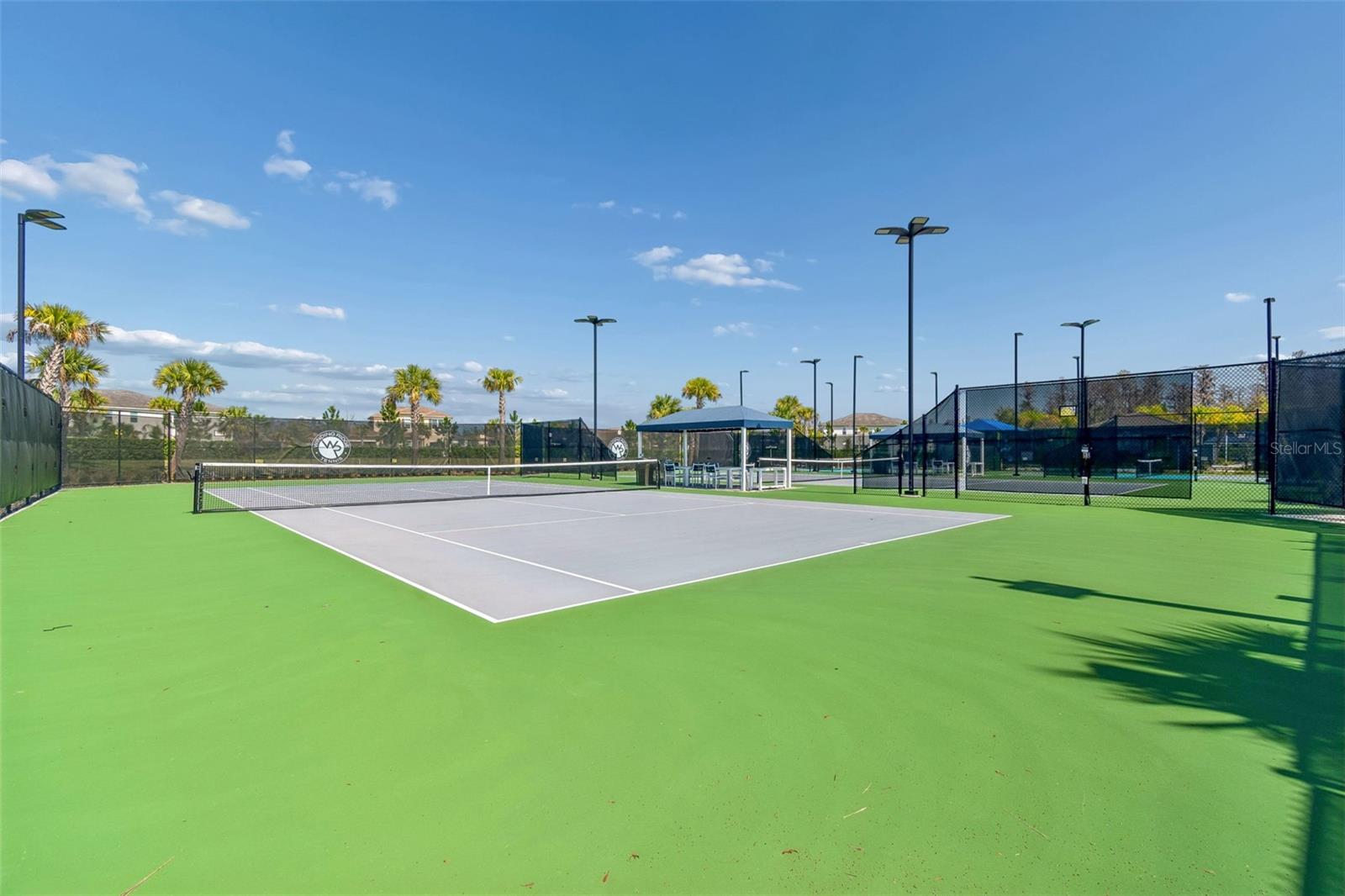 32732 TREE OF LIFE AVE, WESLEY CHAPEL, FL, 33543