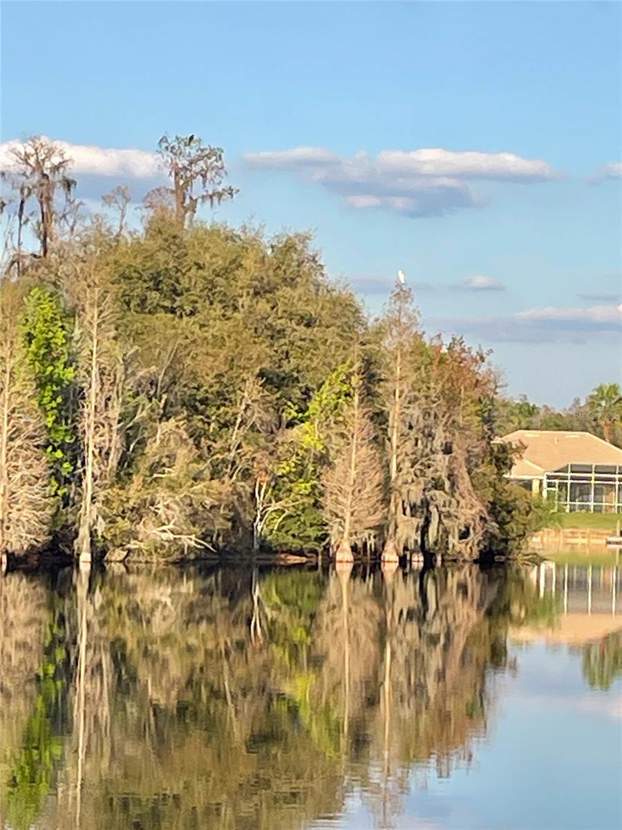 10717 CORY LAKE DR, TAMPA, FL, 33647