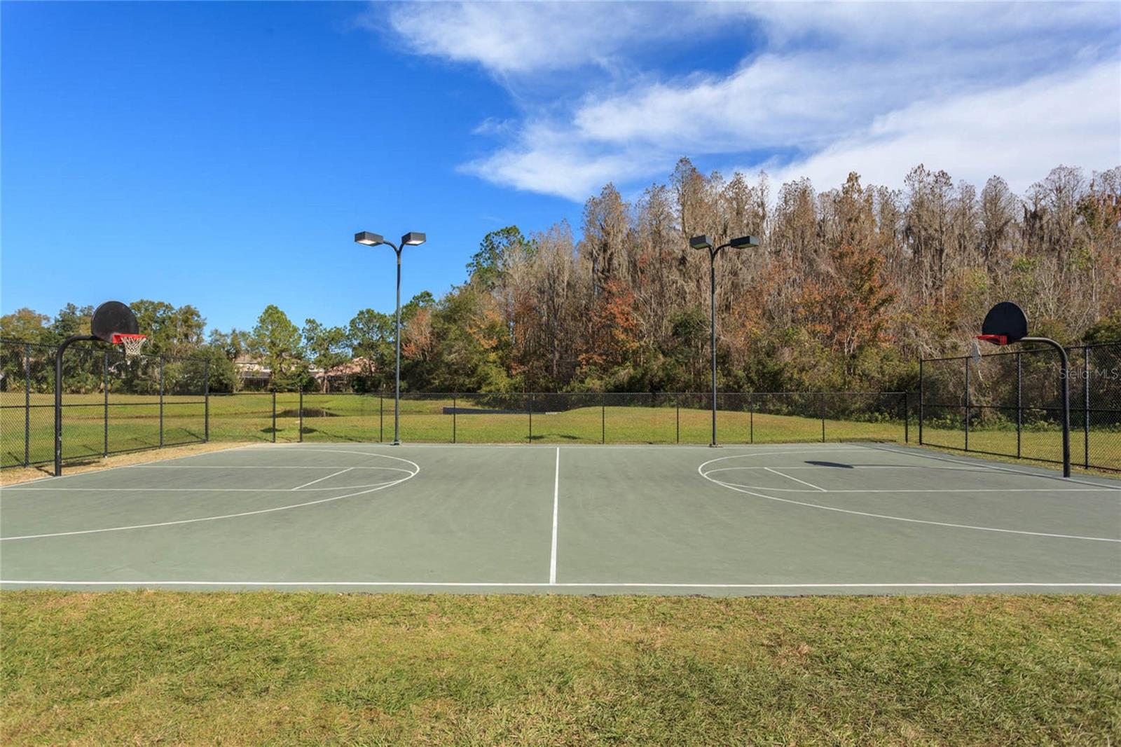 10717 CORY LAKE DR, TAMPA, FL, 33647