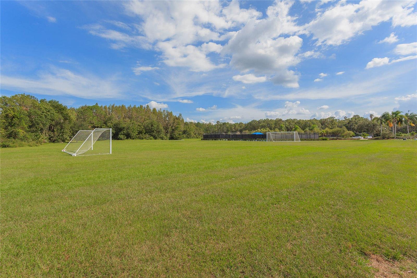 10717 CORY LAKE DR, TAMPA, FL, 33647