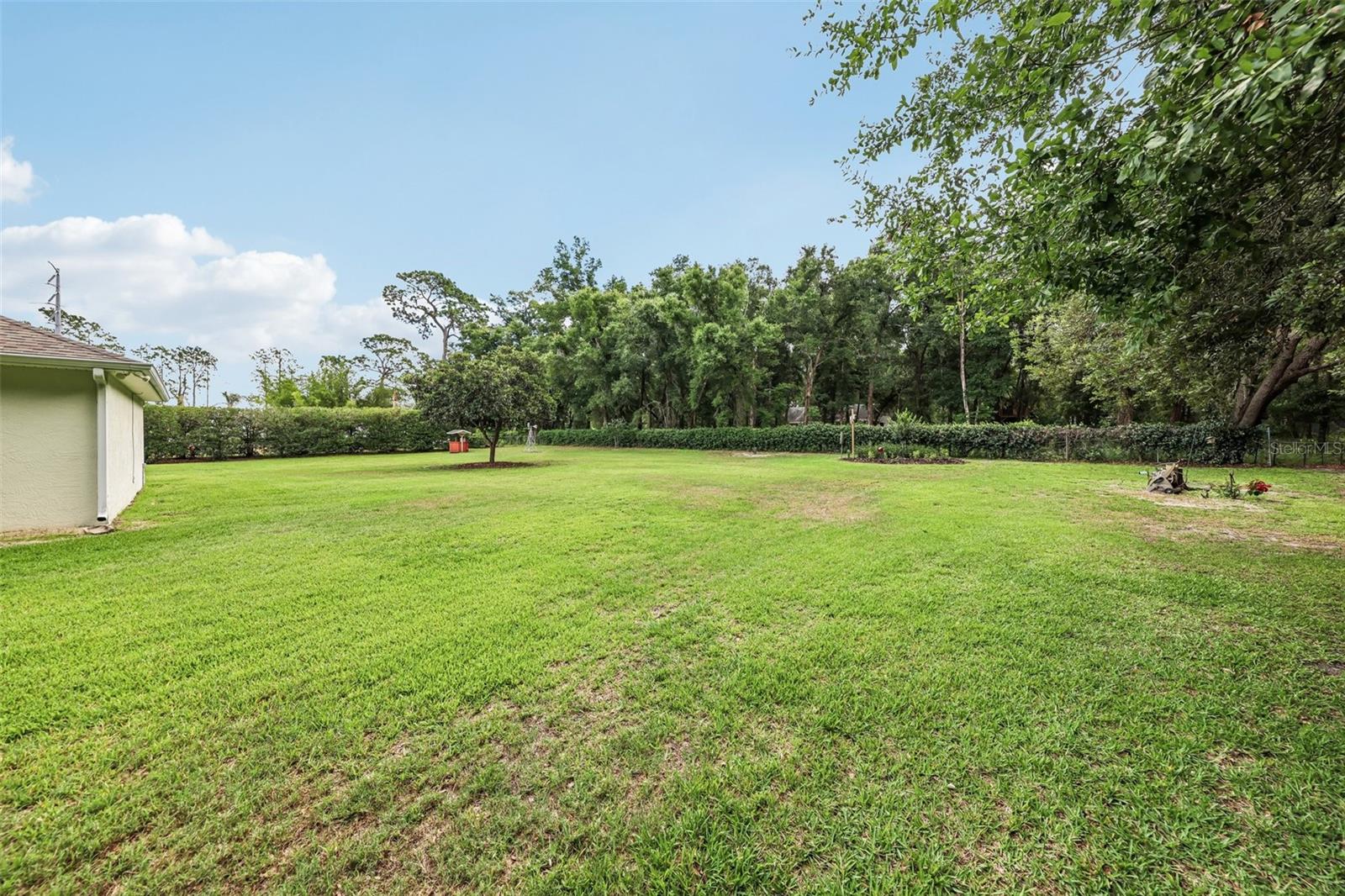 19200 LAKE SWATARA DR, EUSTIS, FL, 32736