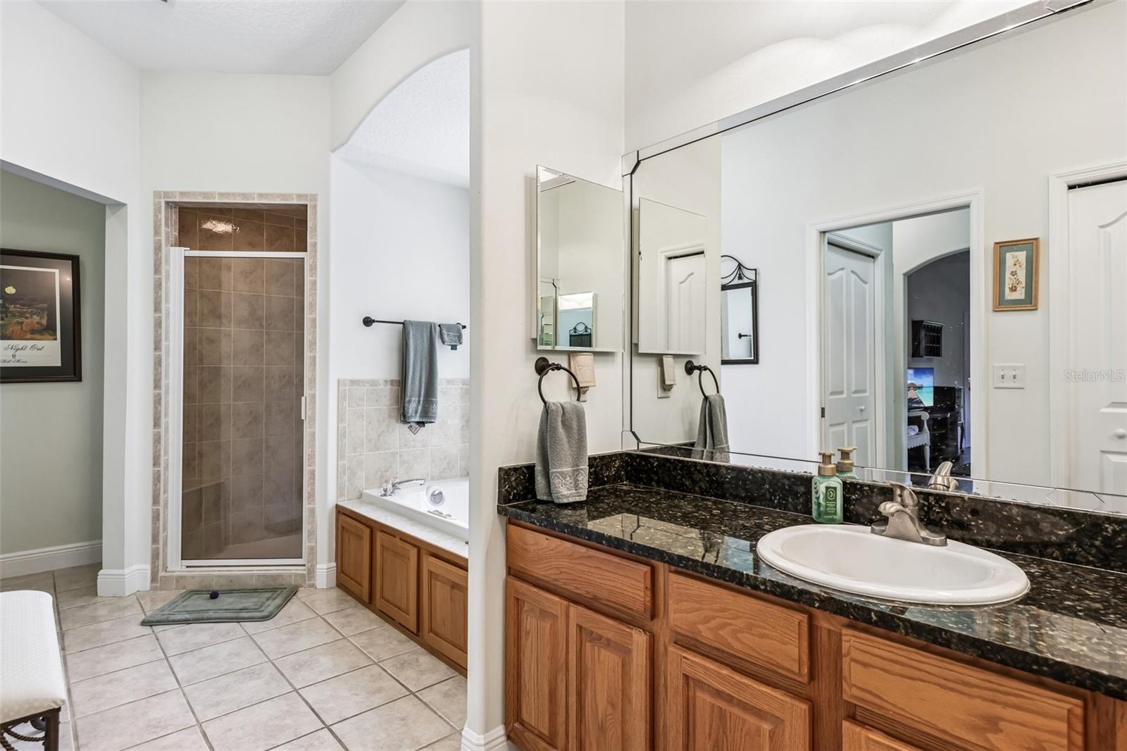 19200 LAKE SWATARA DR, EUSTIS, FL, 32736