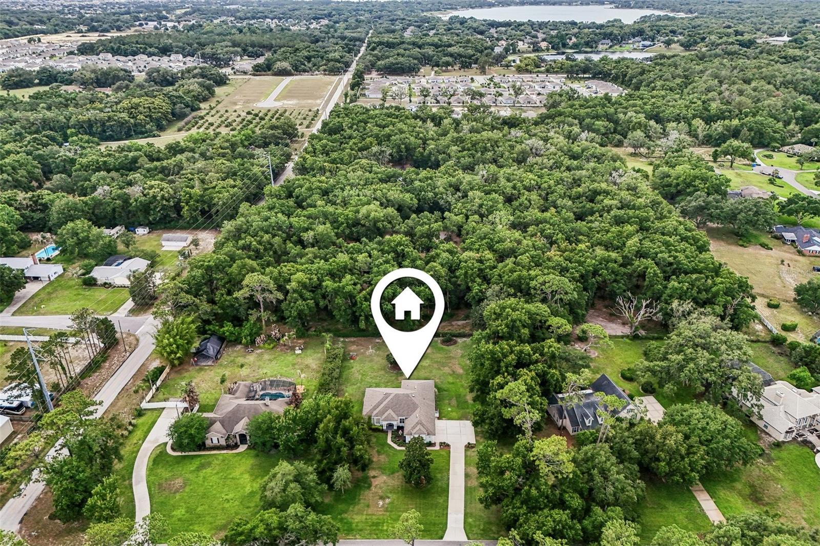 19200 LAKE SWATARA DR, EUSTIS, FL, 32736