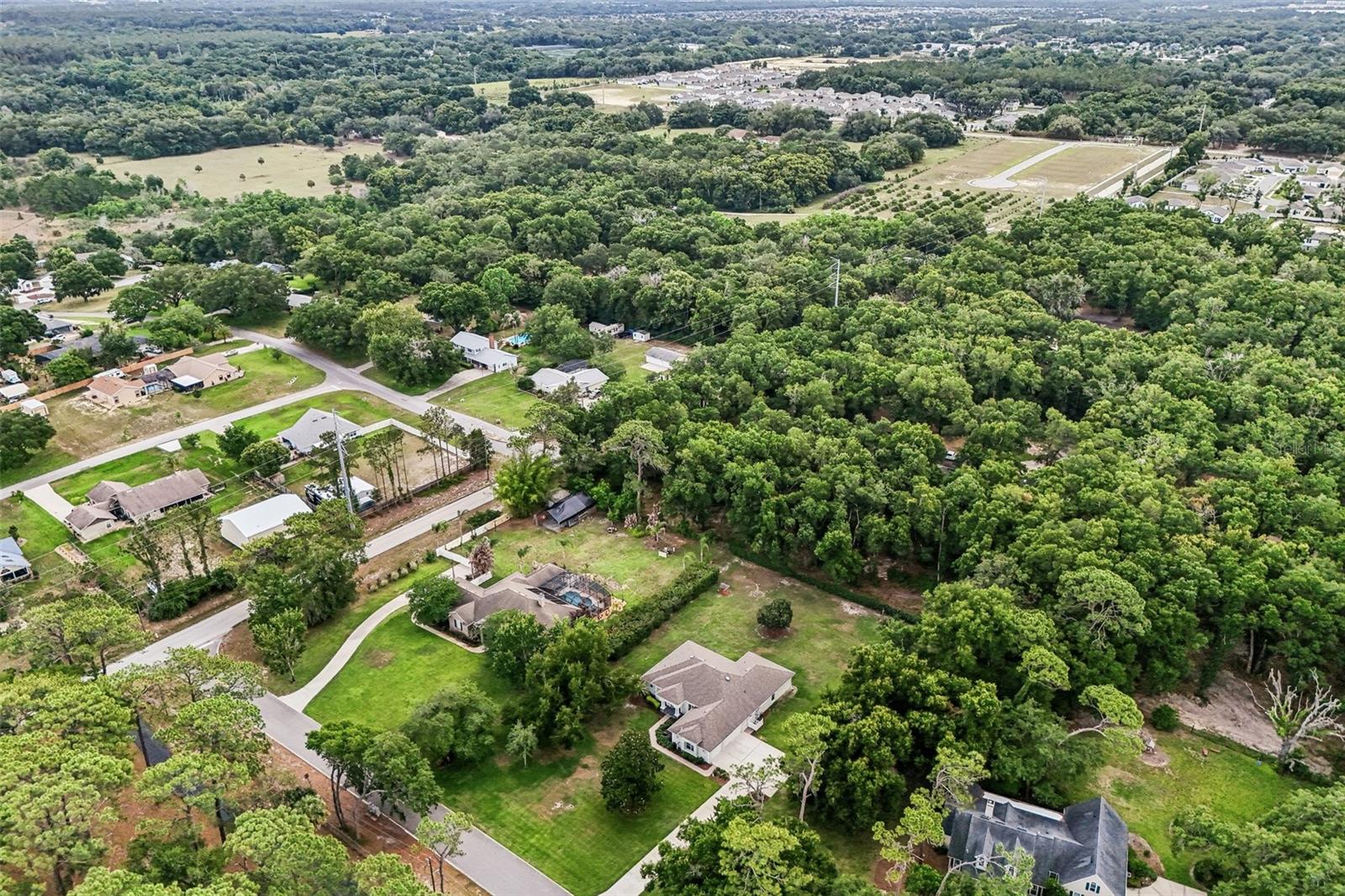 19200 LAKE SWATARA DR, EUSTIS, FL, 32736