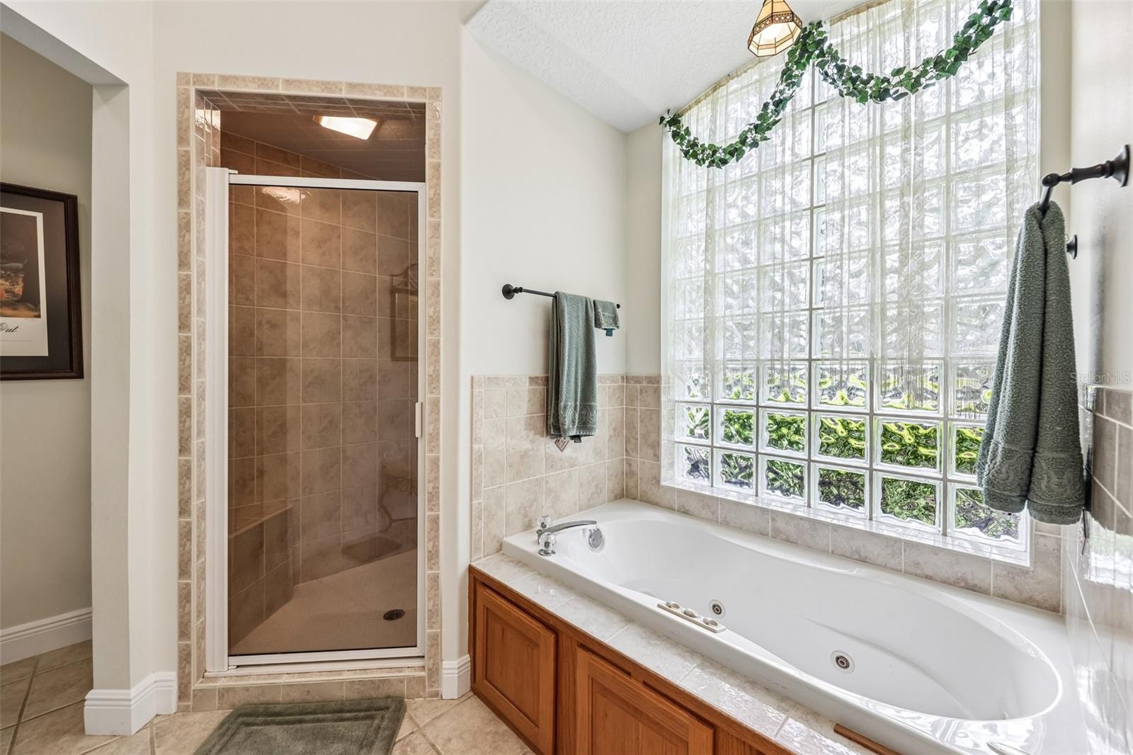 19200 LAKE SWATARA DR, EUSTIS, FL, 32736