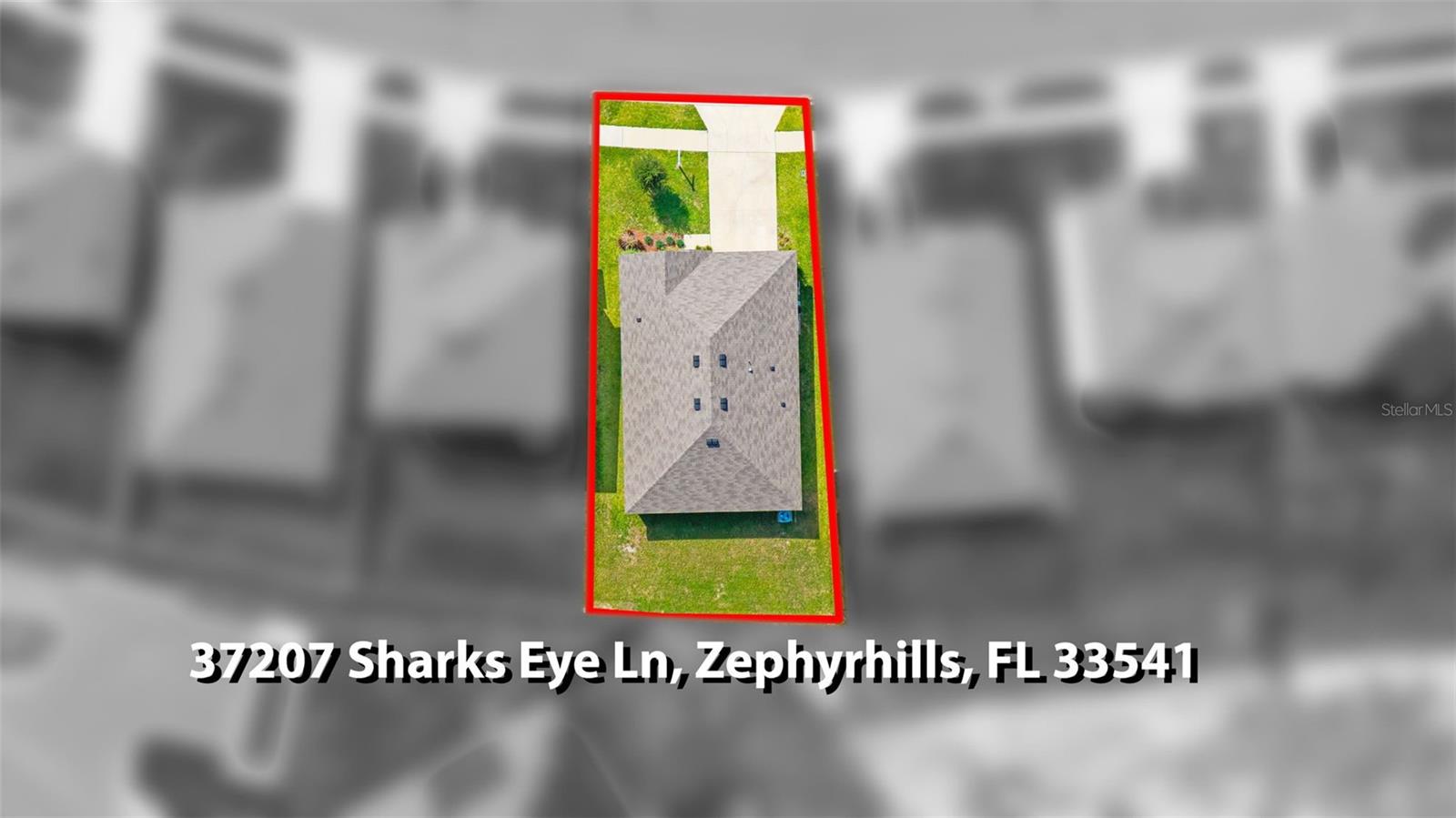 37207 SHARKS EYE LN, ZEPHYRHILLS, FL, 33541