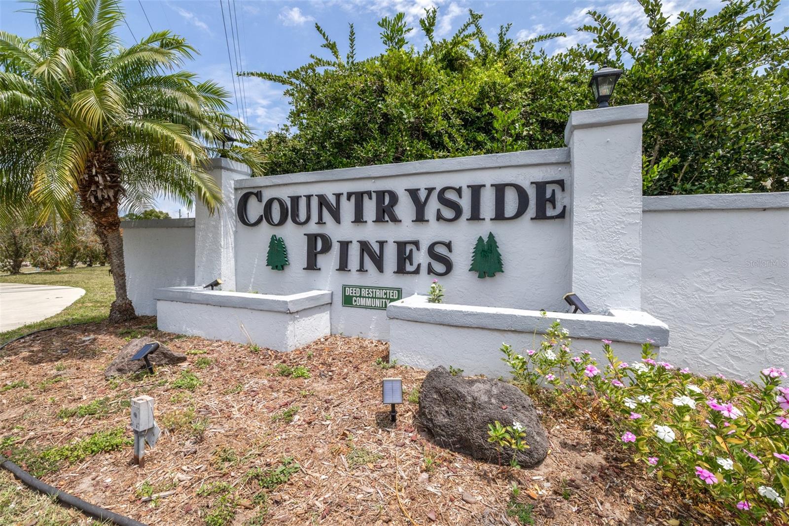2538 COUNTRYSIDE PINES DR, CLEARWATER, FL, 33761