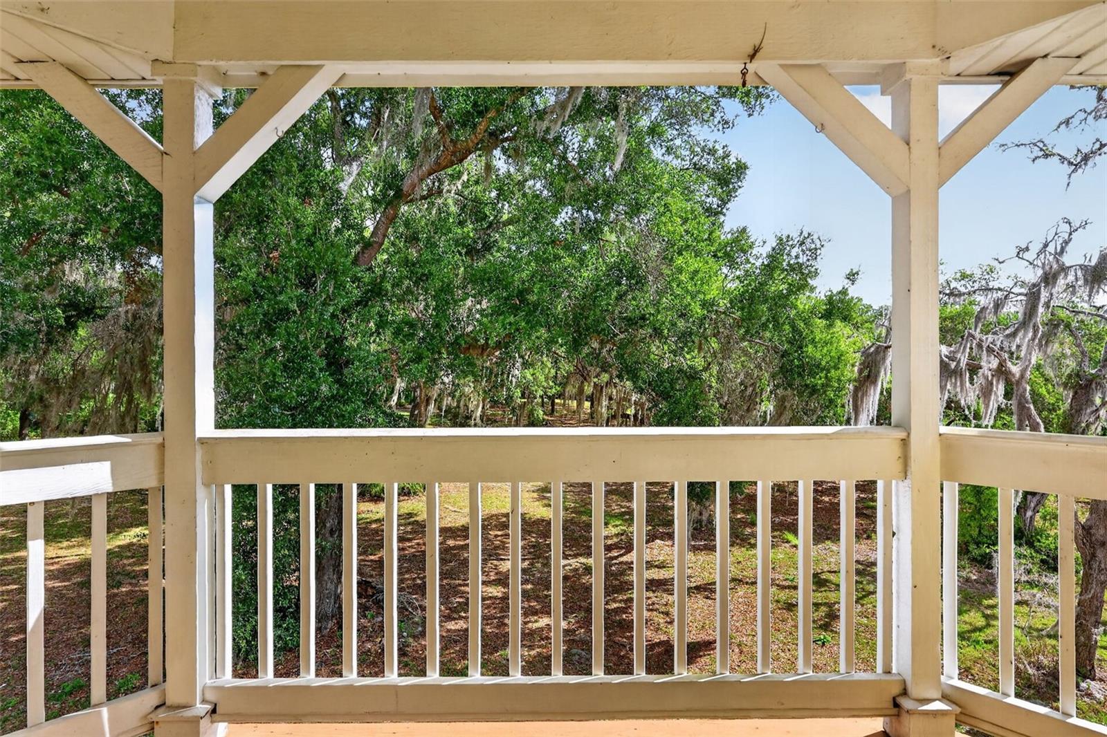 493 MALAUKA LOOP, OCKLAWAHA, FL, 32179