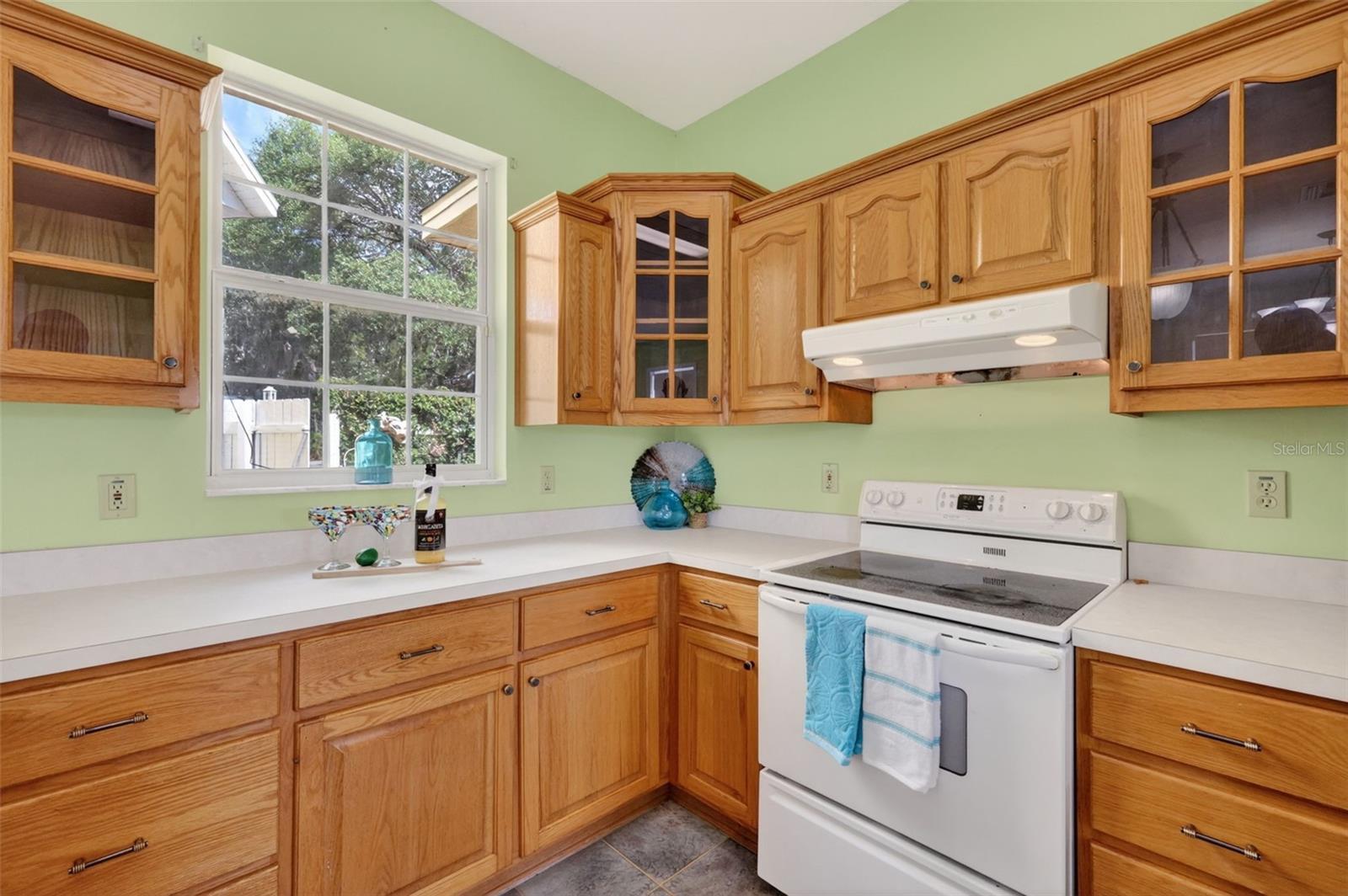 493 MALAUKA LOOP, OCKLAWAHA, FL, 32179