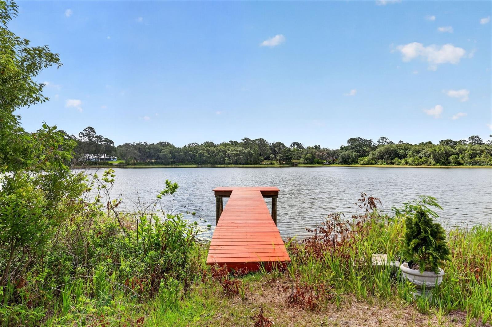 493 MALAUKA LOOP, OCKLAWAHA, FL, 32179