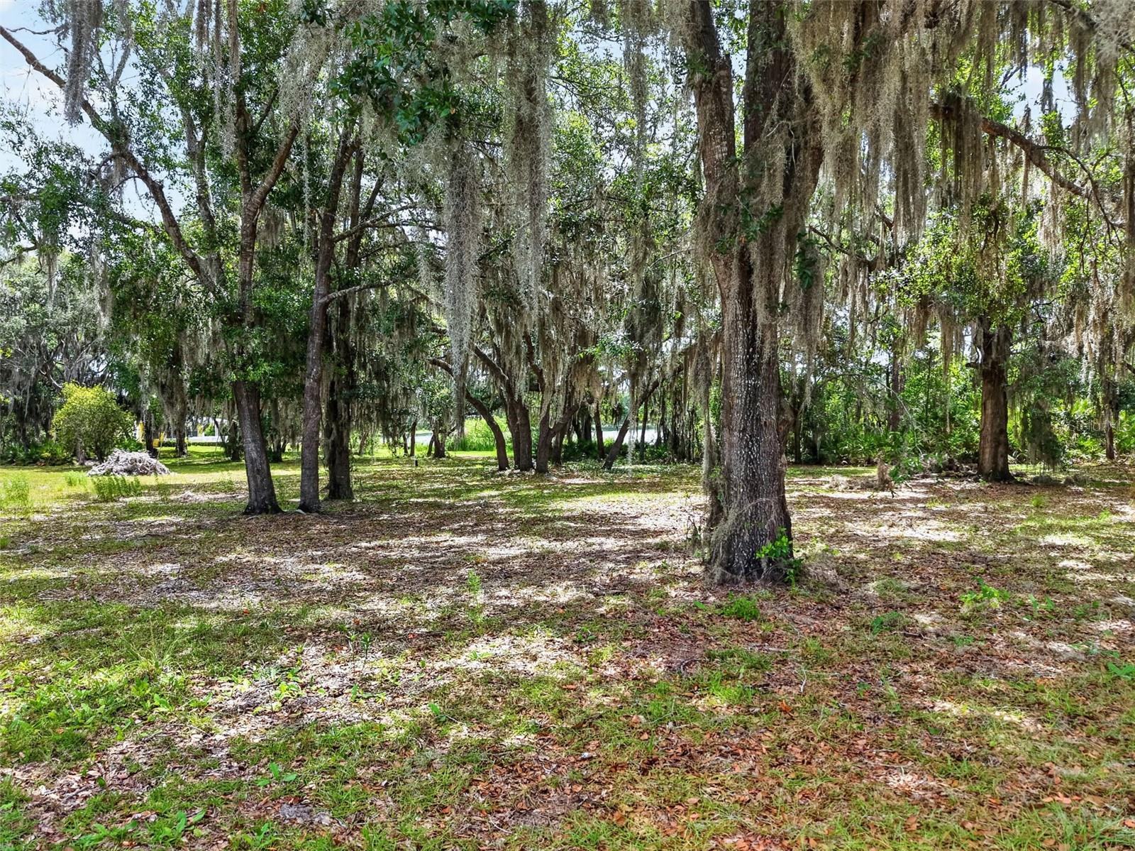 493 MALAUKA LOOP, OCKLAWAHA, FL, 32179