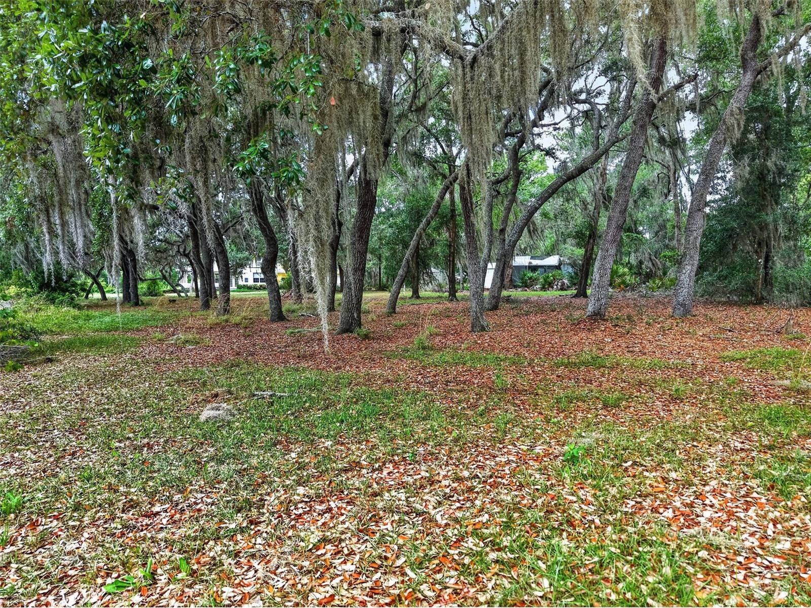 493 MALAUKA LOOP, OCKLAWAHA, FL, 32179