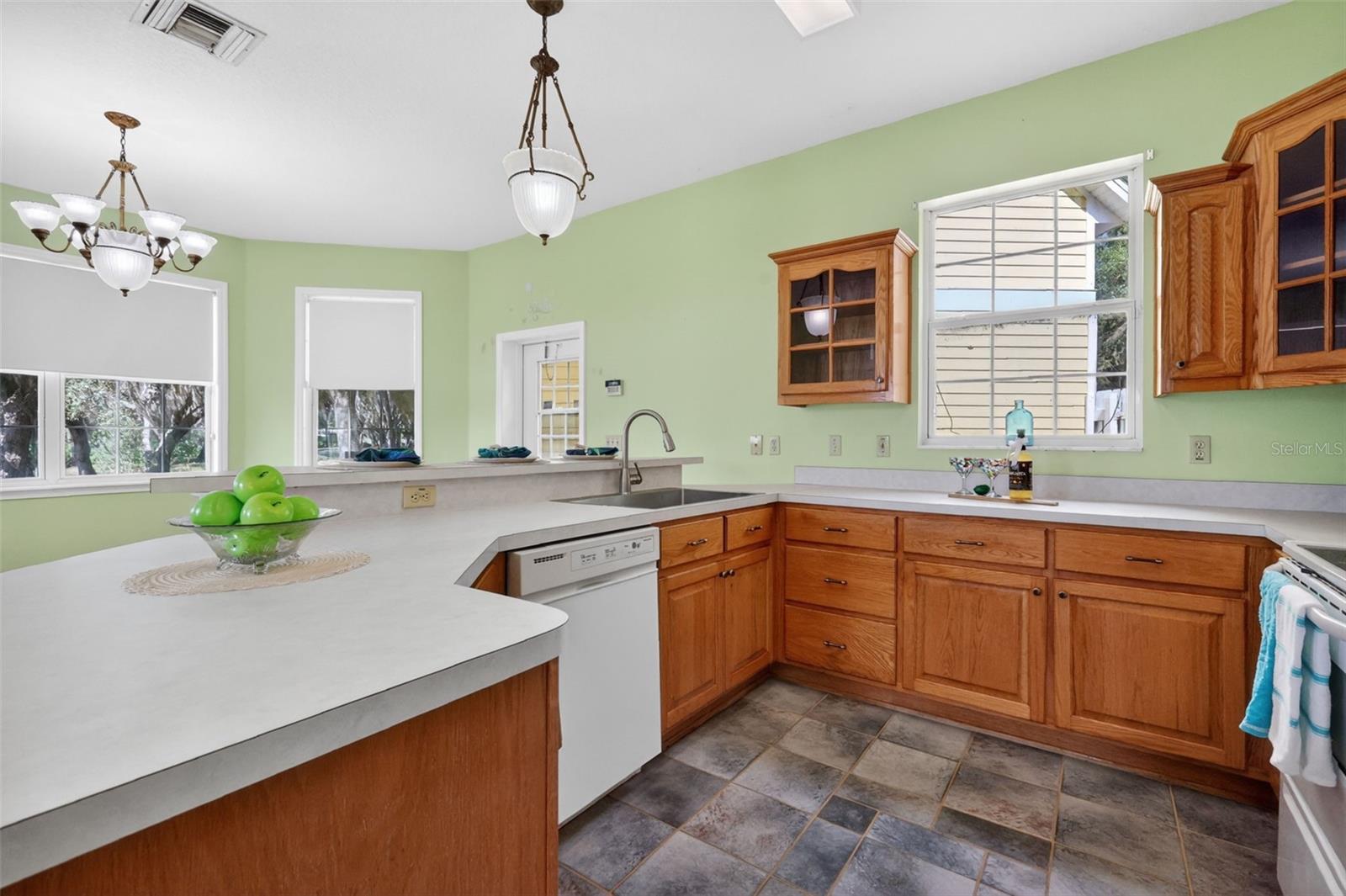 493 MALAUKA LOOP, OCKLAWAHA, FL, 32179