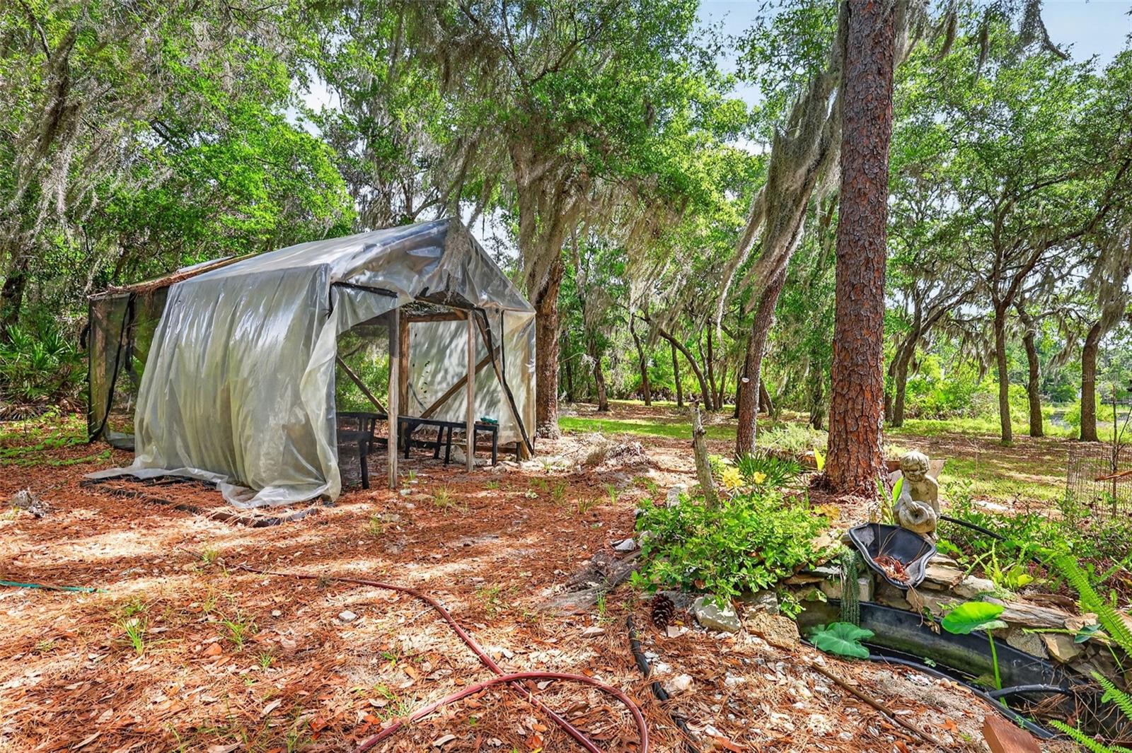 493 MALAUKA LOOP, OCKLAWAHA, FL, 32179