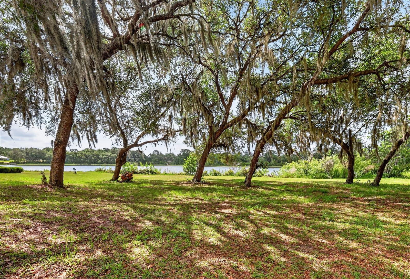 493 MALAUKA LOOP, OCKLAWAHA, FL, 32179